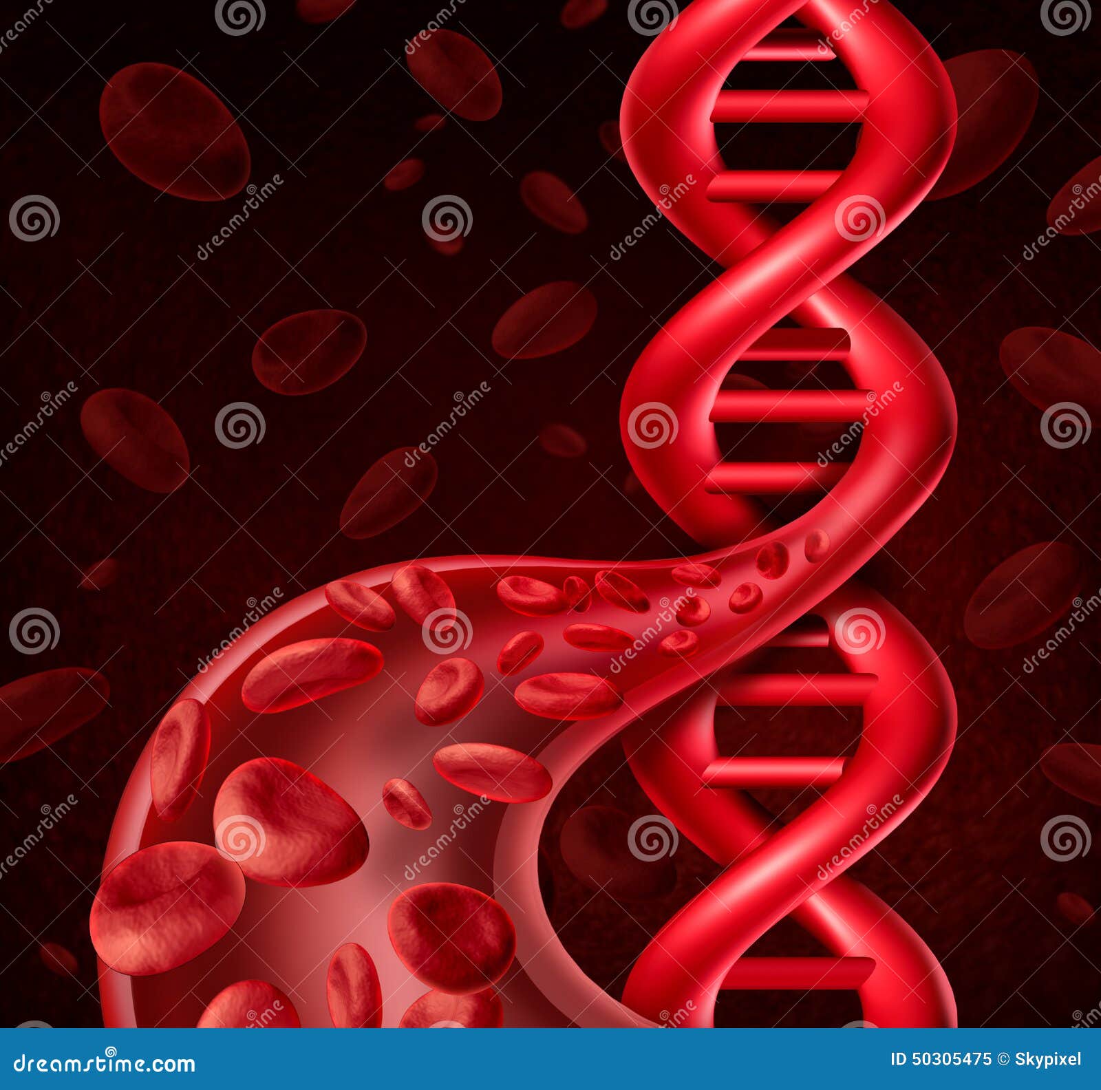 download Vorticity and