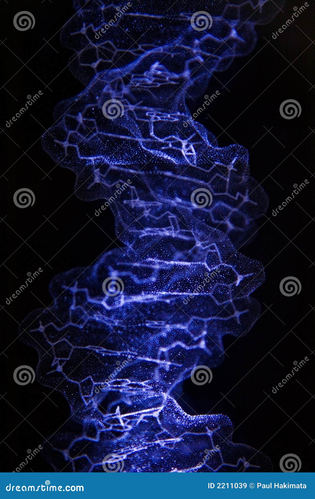 dna crystal structure