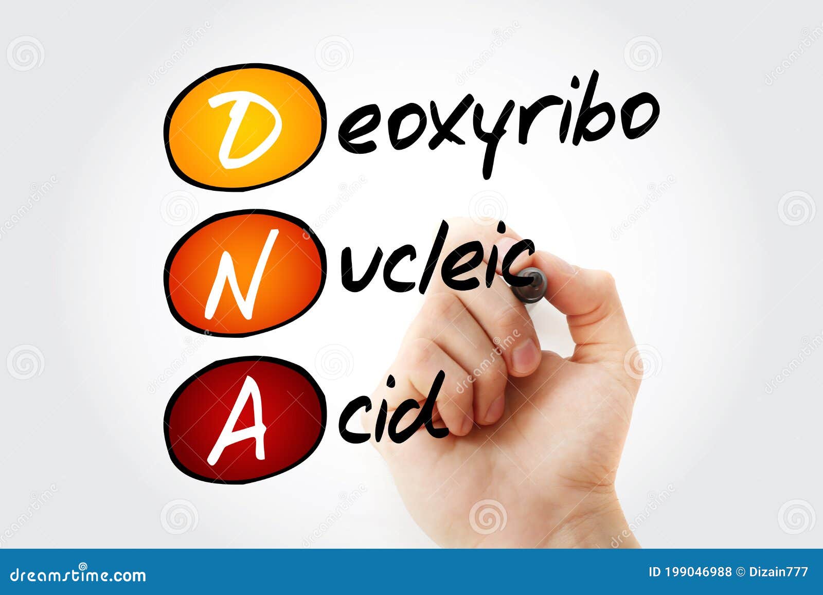 DNA Deoxyribonucleic Acid, Acronym Stock Photo Image of chemistry