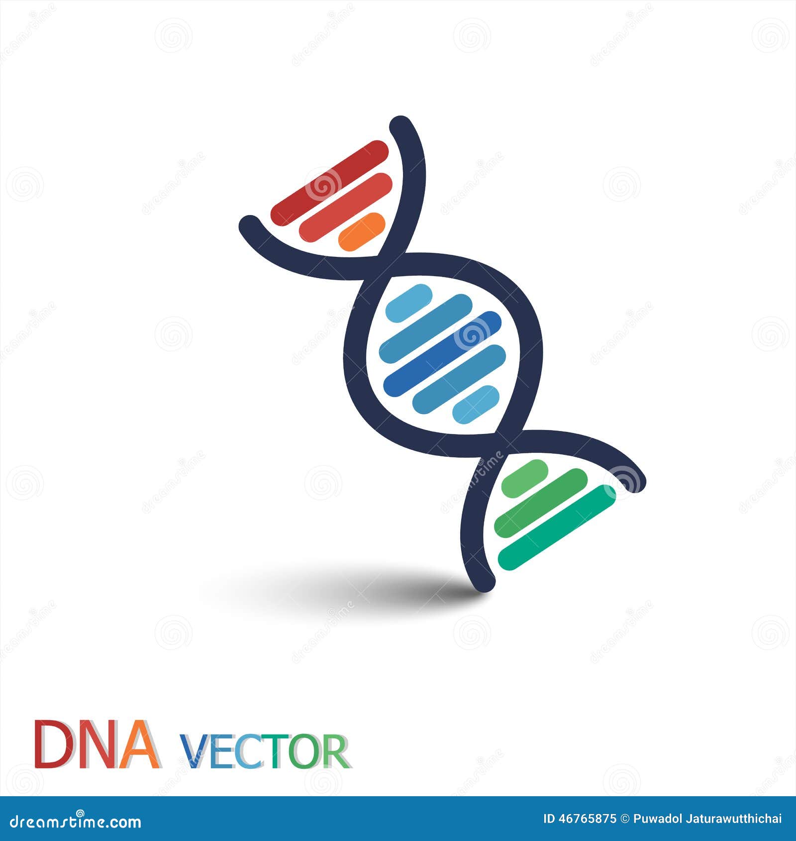 dna ( deoxyribonucleic acid )  ( double strand dna )