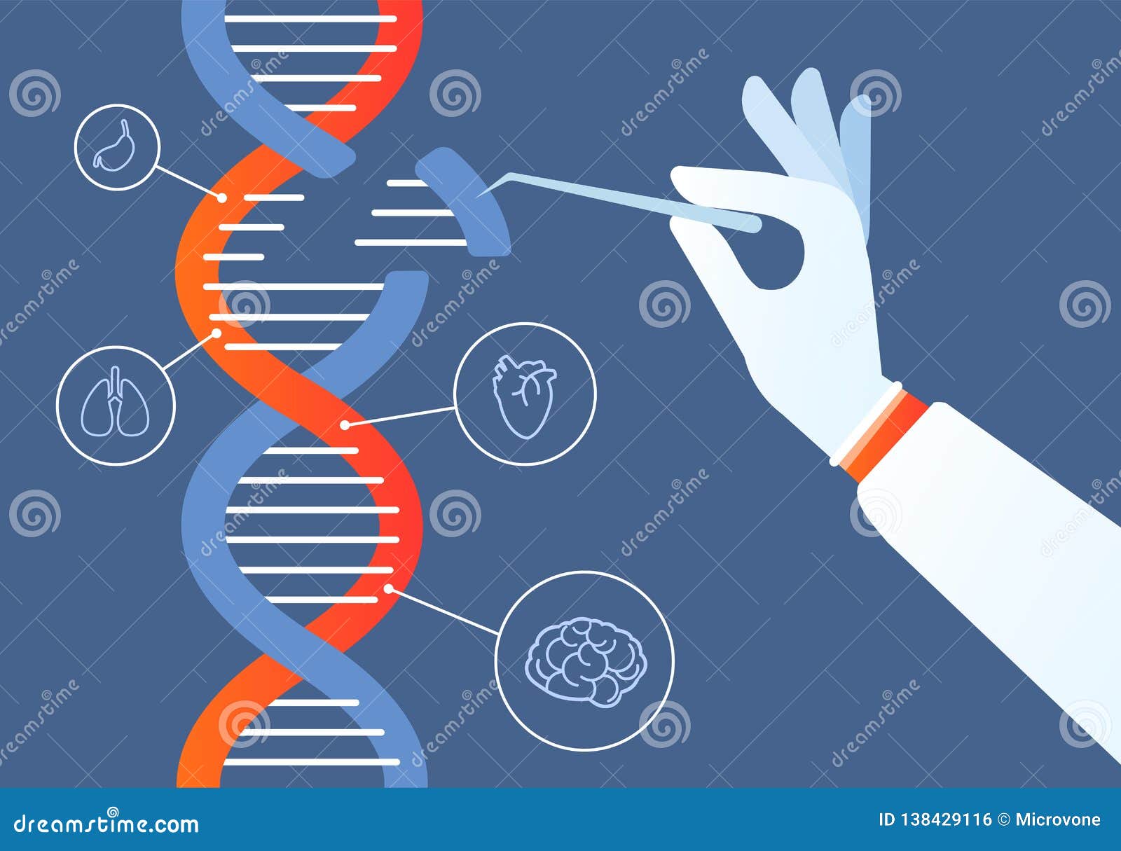 Dna Engineering Genome Crispr Cas9 Gene Mutation Code Modification Human Biochemistry And Chromosomes Research Vector Stock Vector Illustration Of Graphic Health