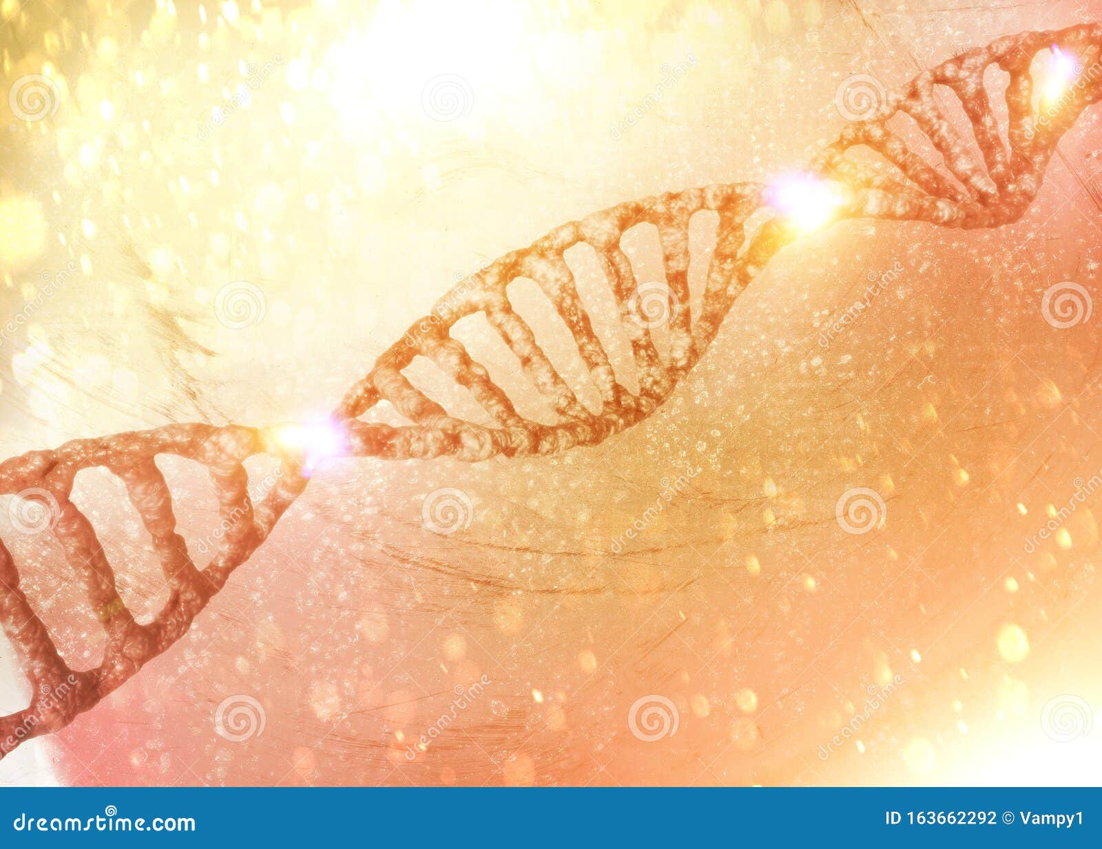 DNA Helix, Deoxyribonucleic Acid is a Nucleic Acid that Contains