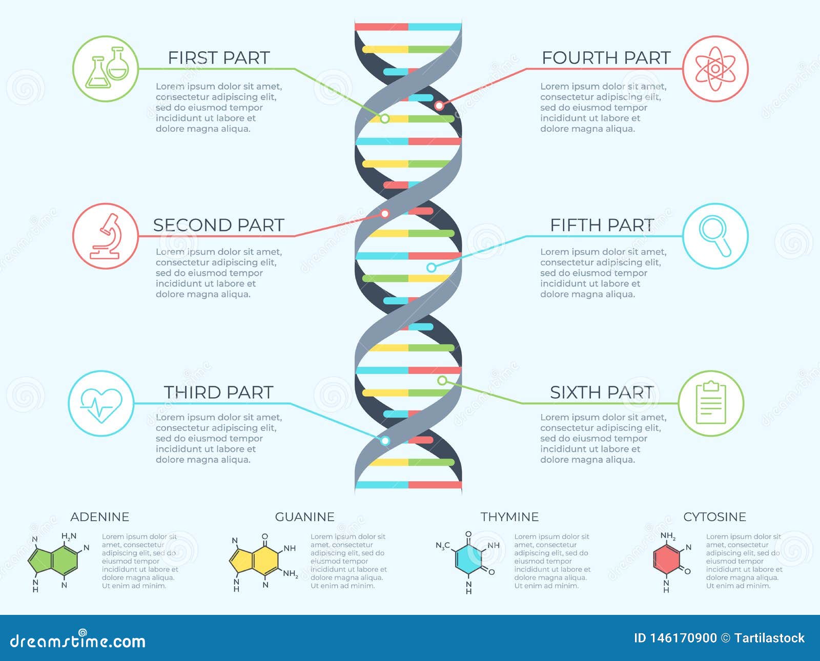 Genome Chart