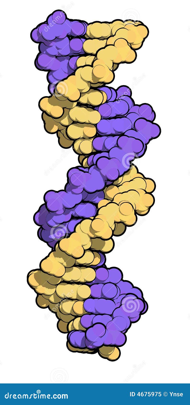 DNA-Karikaturen. Computererzeugte Karikaturabbildung der DNA-Ketten auf weißem Hintergrund