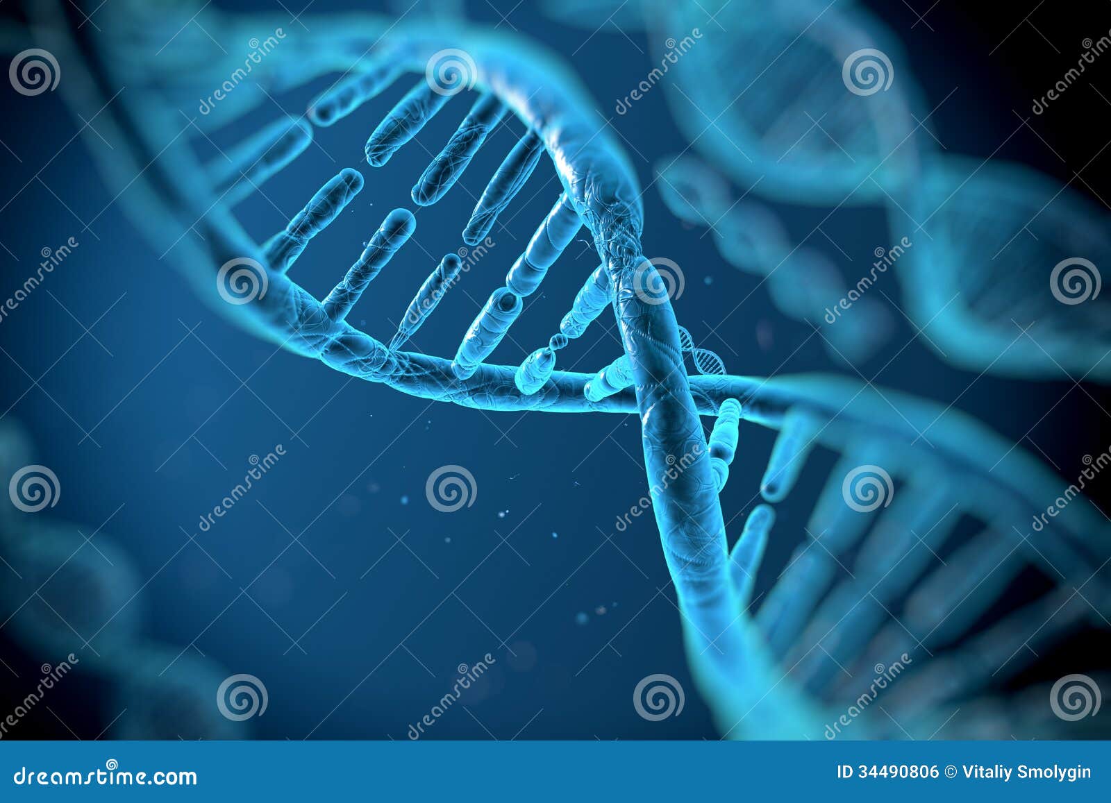 dna molecules