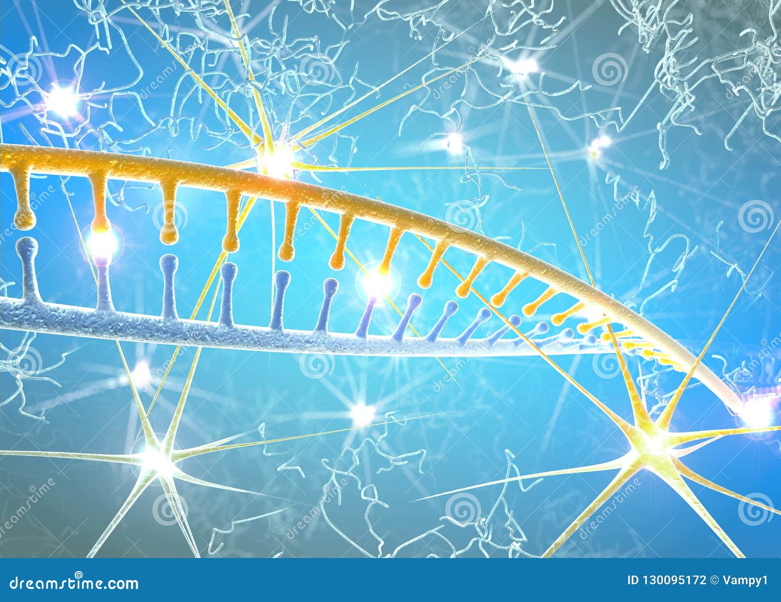 dna and neurons, dna restructuring, rewriting and continuous regeneration, increased activity of nerve cells