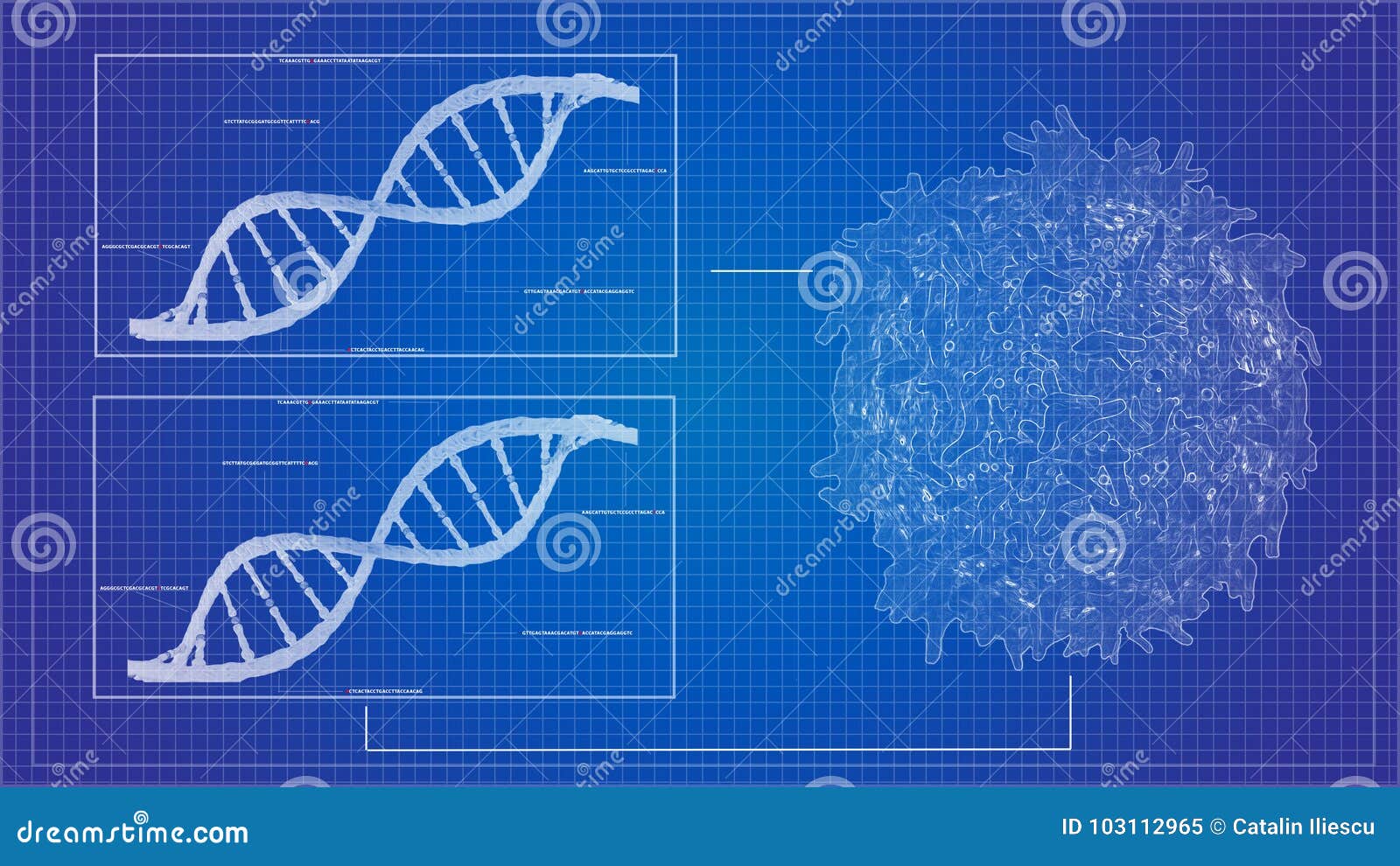 dna sequencing blueprint rna sequencing dna computational models