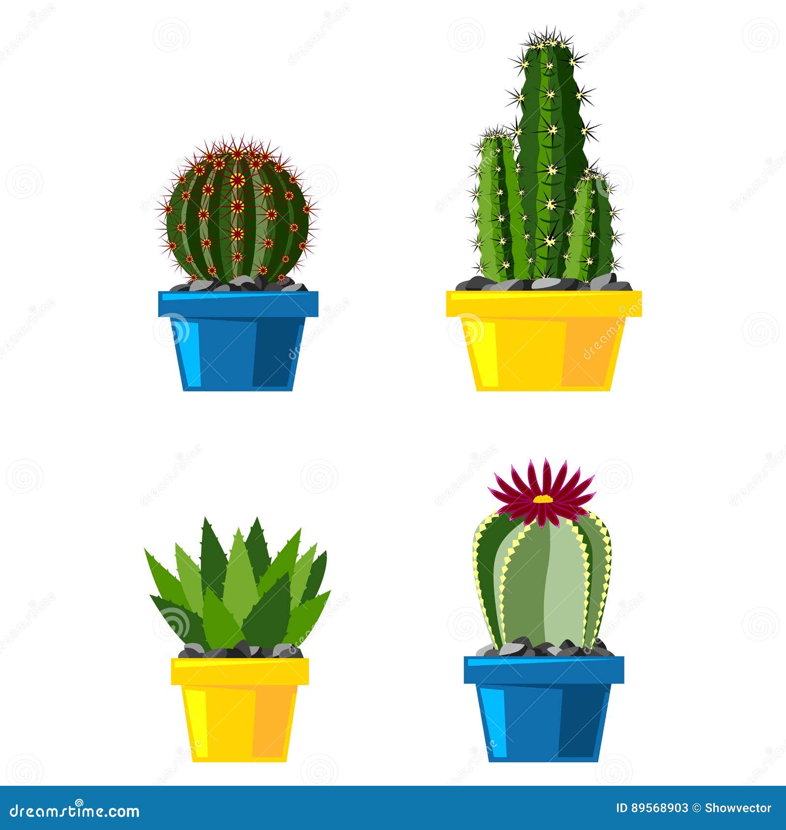 Ilustração de planta de oito cactos, Desenho Cactaceae Planta