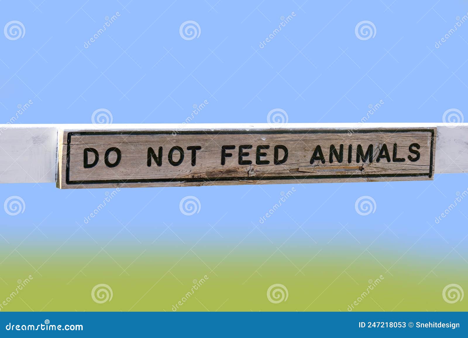 Do Not Feed Animals Sign Board Stock Image Image of clouds, wooden