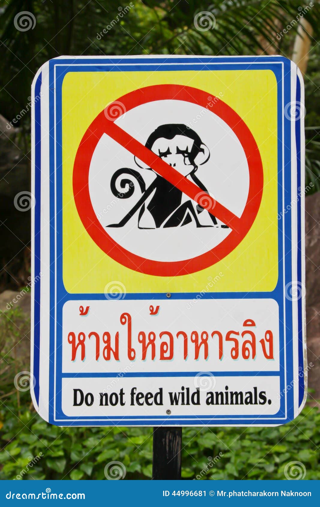 do not feed the monkeys download free