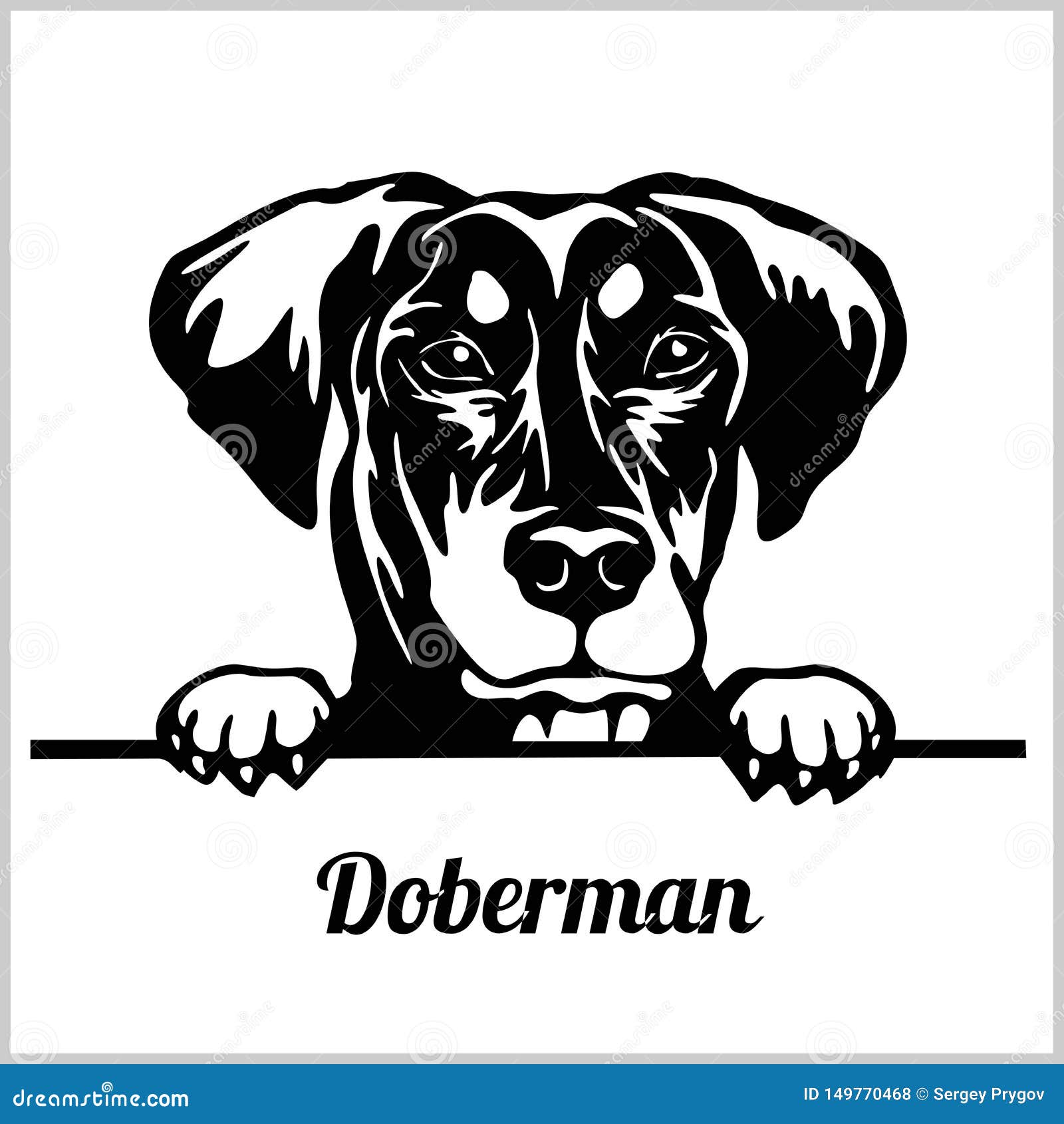 Doberman Peeking Dogs Breed Face Head Isolated On