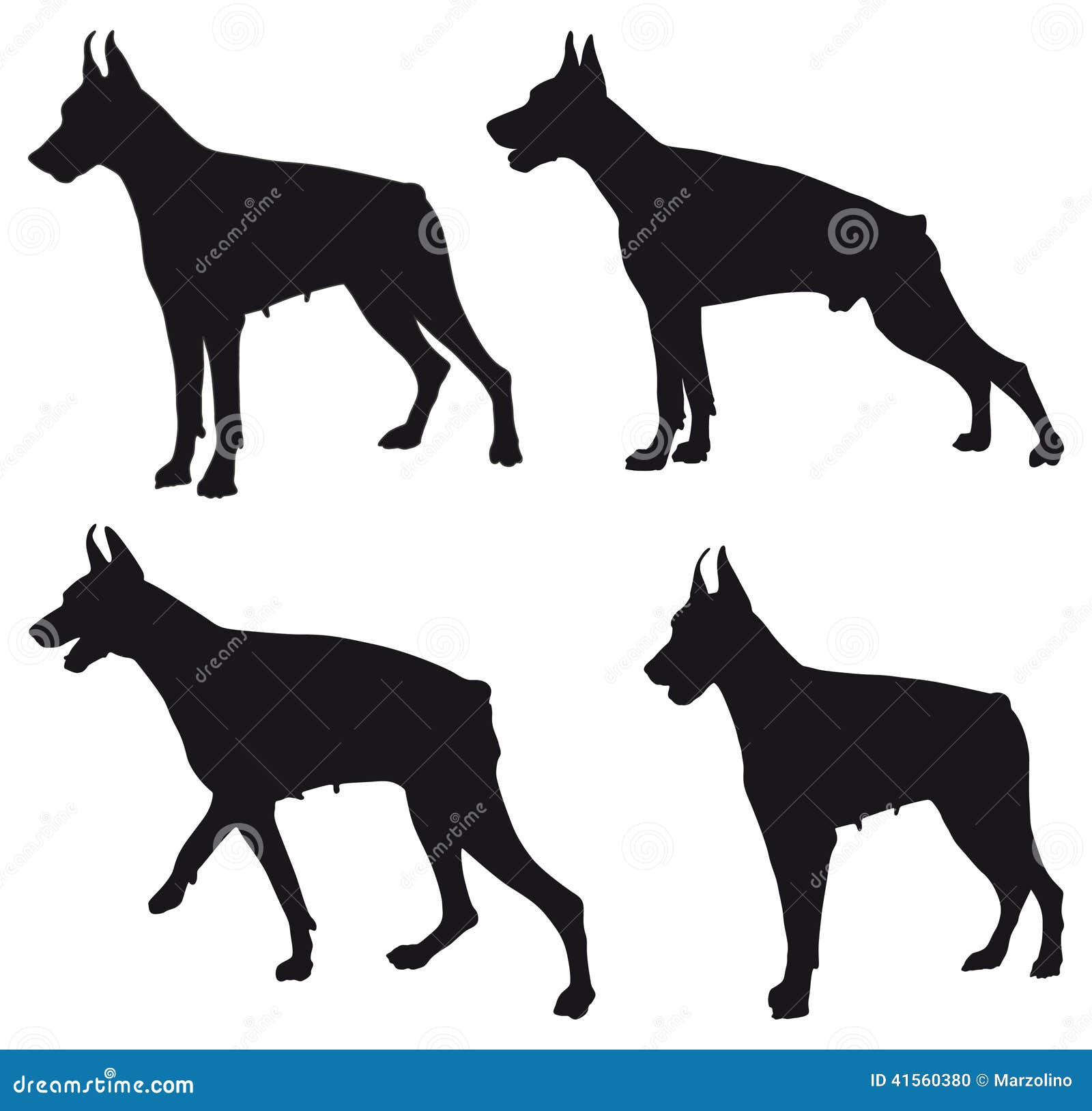 Doberman silhouette stock vector. Illustration of posing