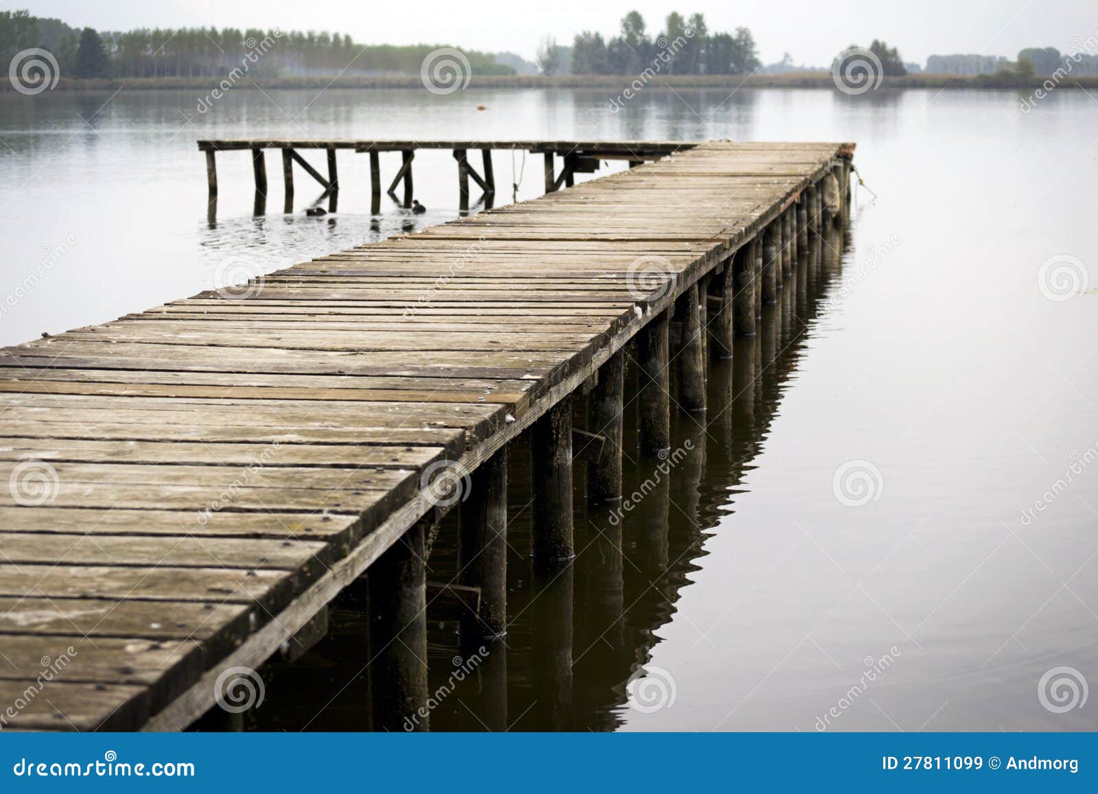 Dock on a lake stock image. Image of clear, nature ...