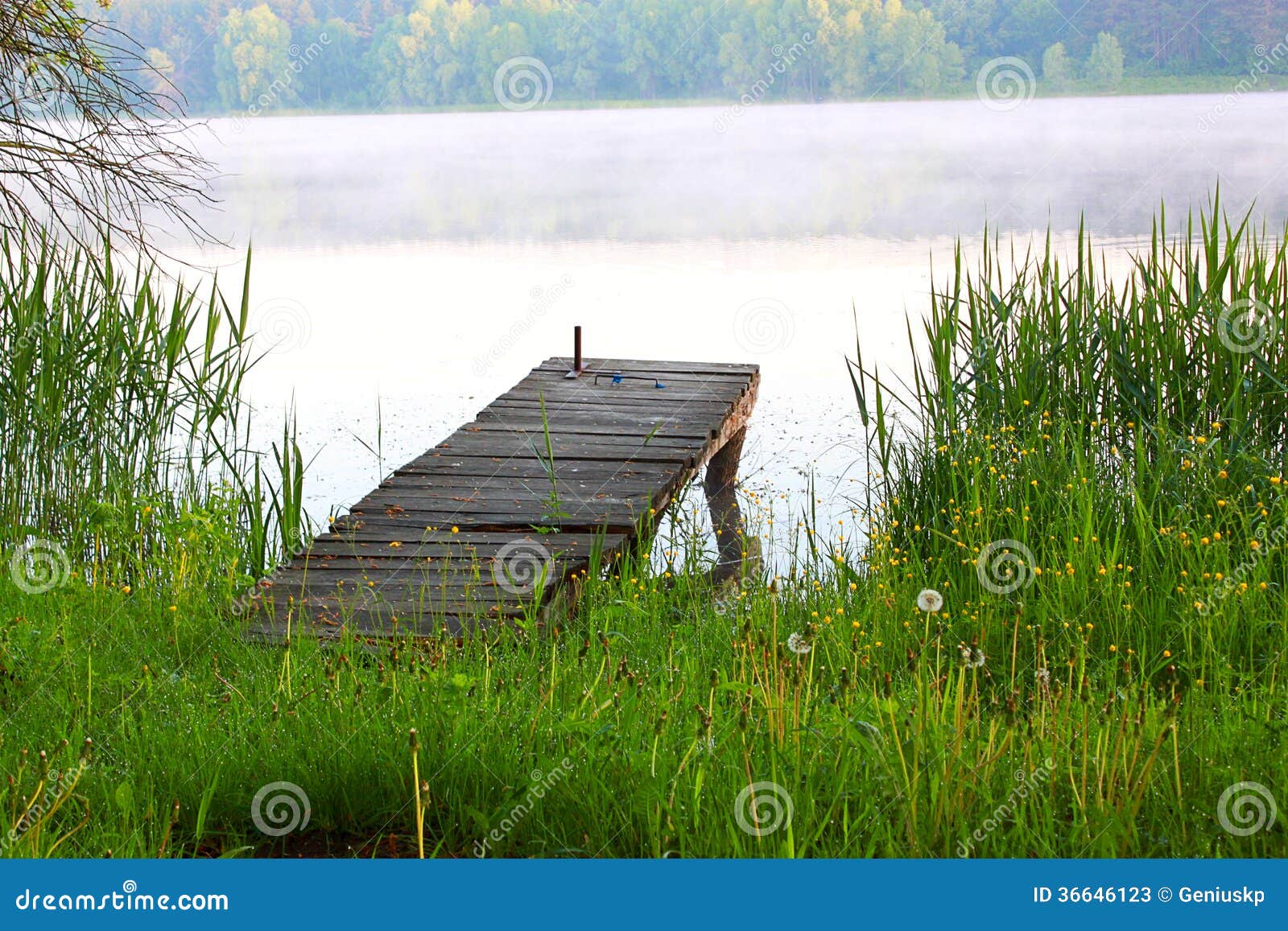 Dock On The River Stock Image Image Of Natural Blue 36646123