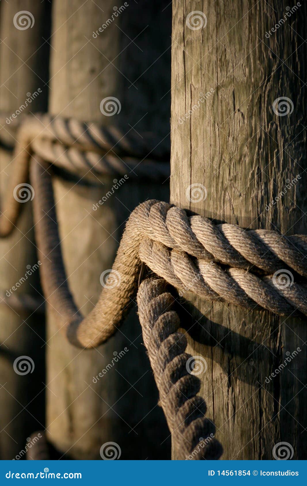 dock rope stock images - image: 14561854