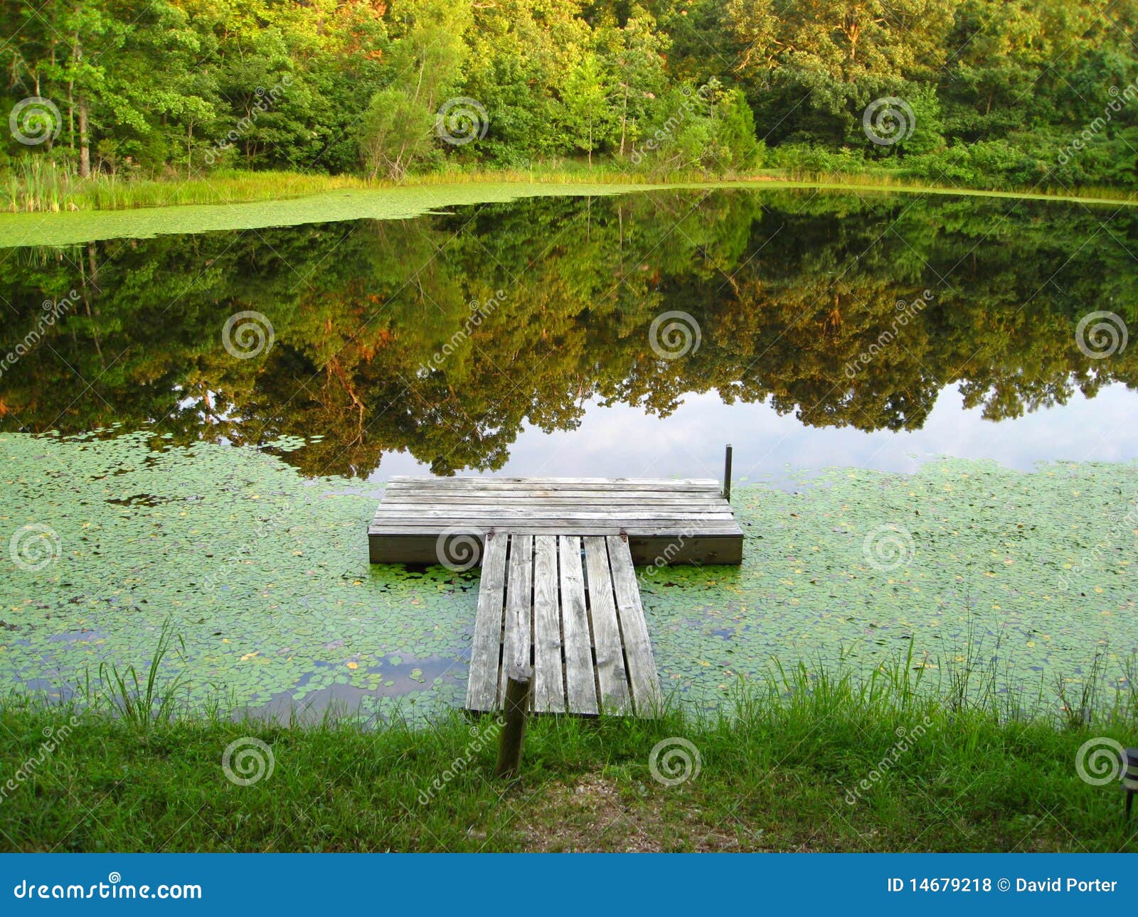 dock on a tranquil pond