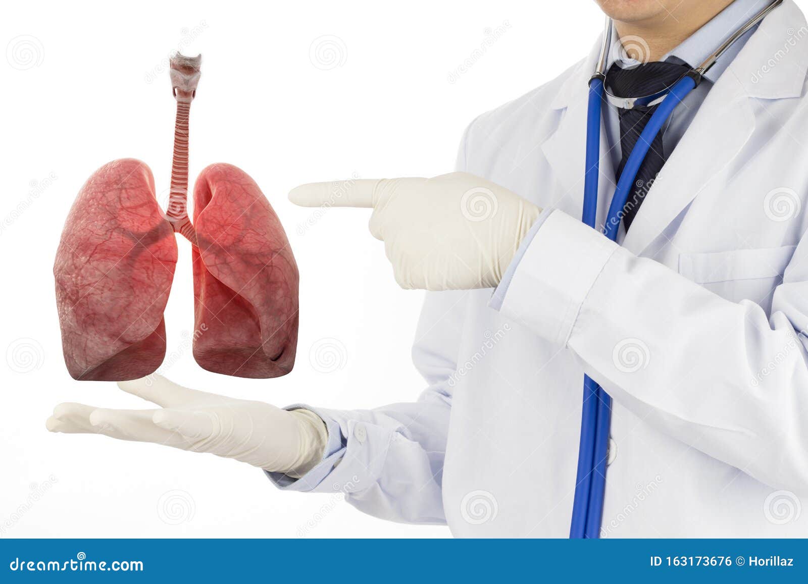 Doctor Check Respiratory of Lung Stock Photo Image of cure, diagnosis
