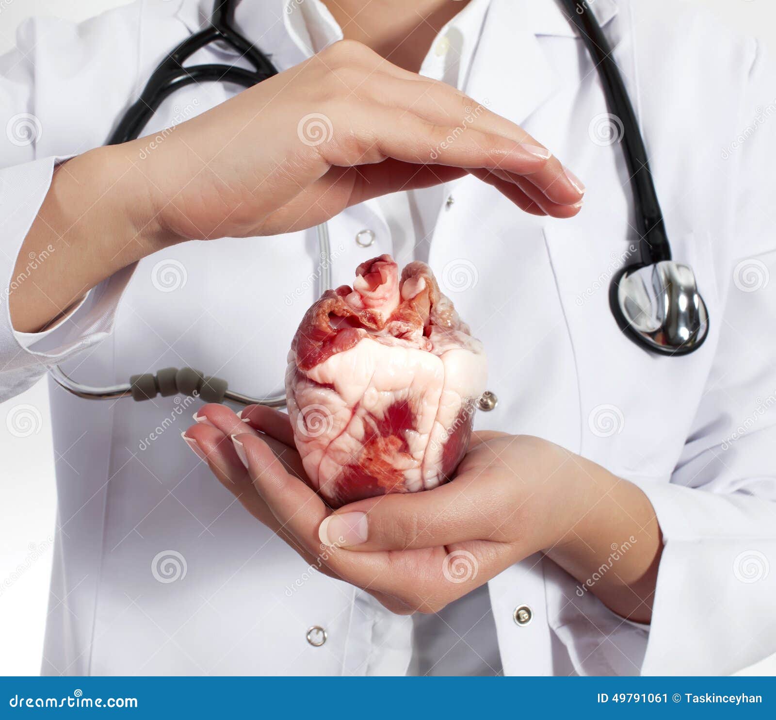 Doctor is Holding Real Heart Stock Image - Image of equipment ...