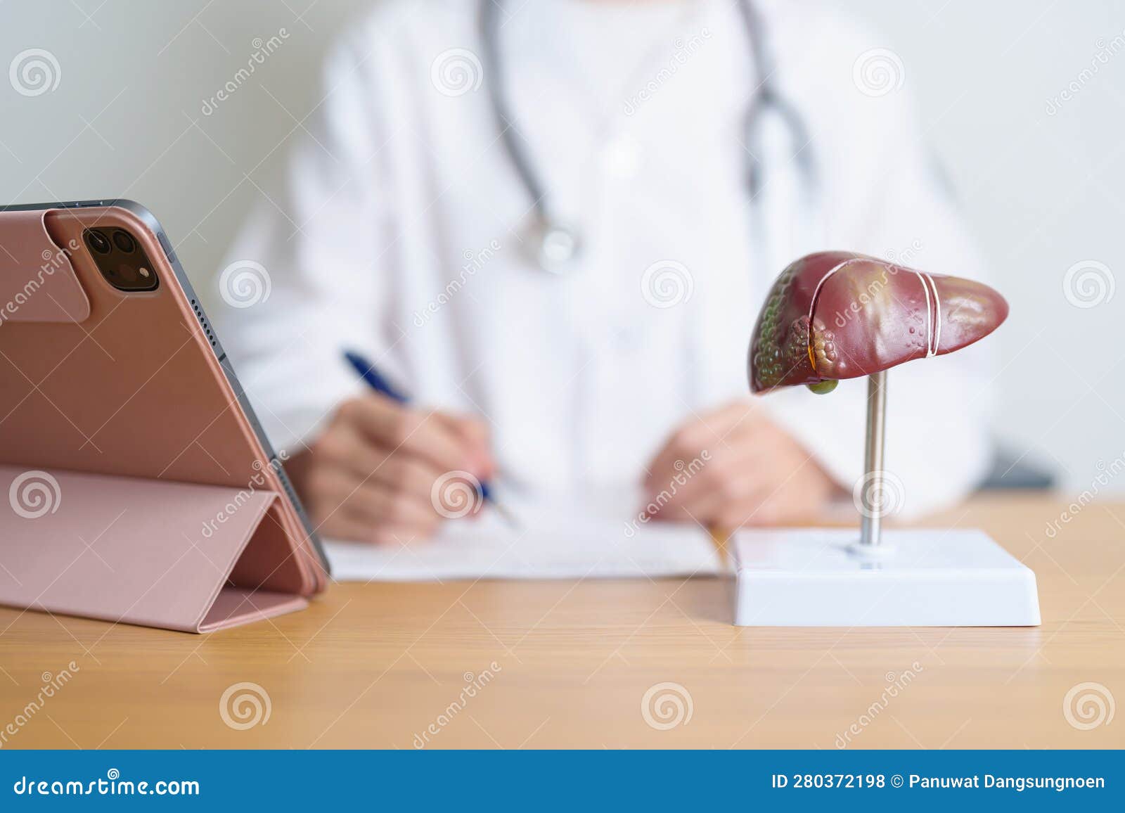 doctor with human liver model and tablet. liver cancer and tumor, jaundice, viral hepatitis a, b, c, d, e, cirrhosis, failure,