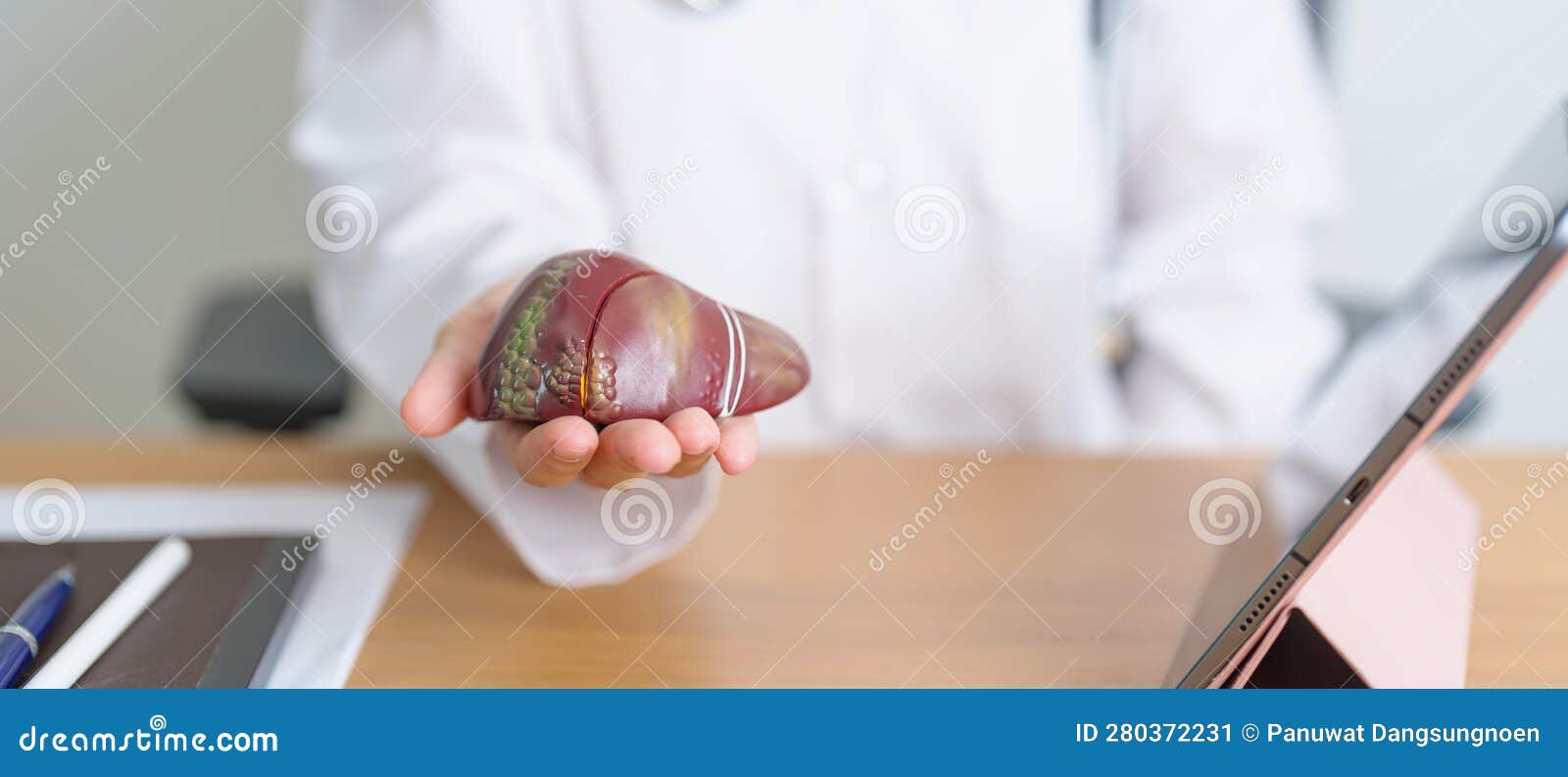 doctor with human liver model and tablet. liver cancer and tumor, jaundice, viral hepatitis a, b, c, d, e, cirrhosis, failure,