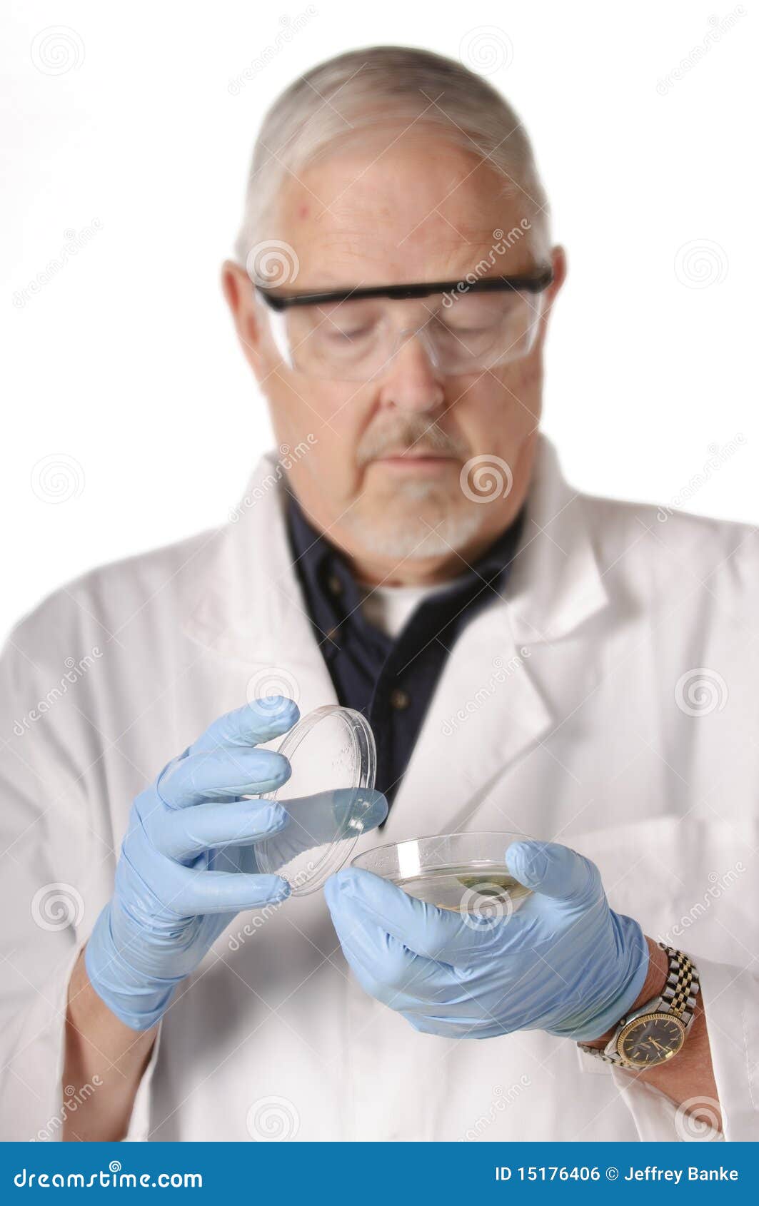 Doctor looking at culture stock photo. Image of glasses 15176406