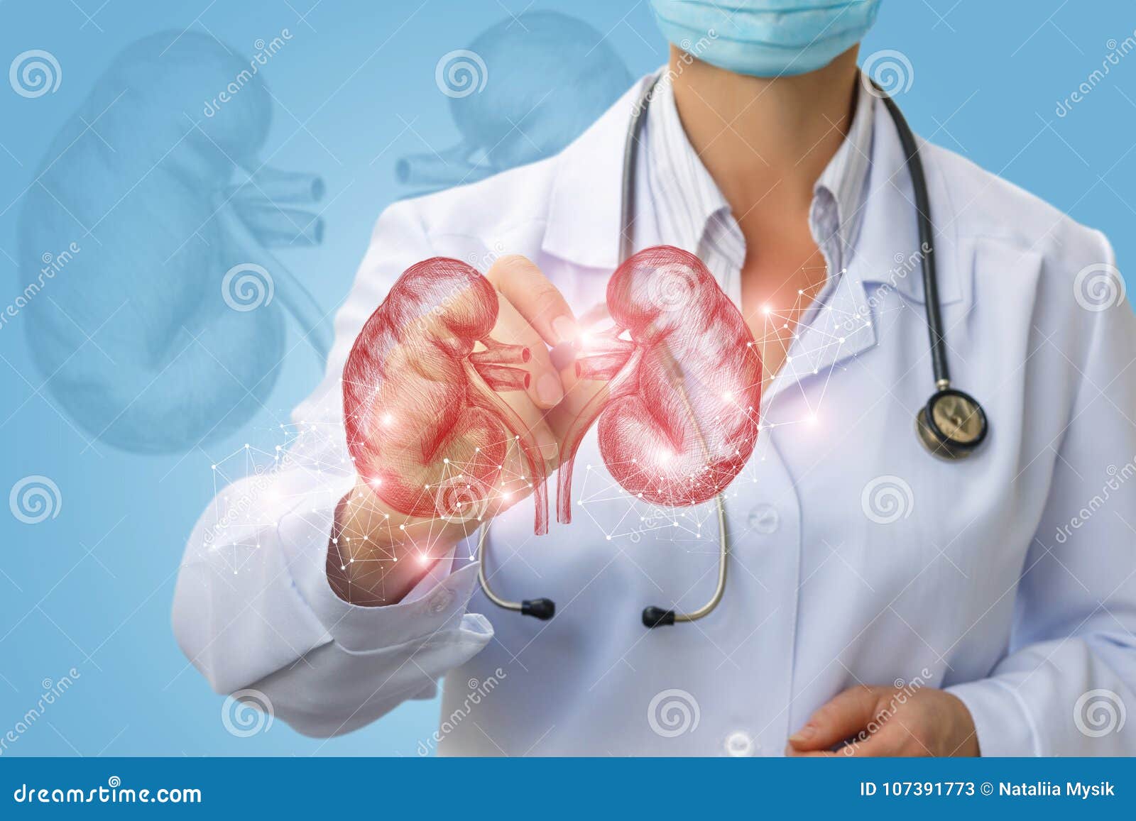 doctor makes diagnosis of human kidney .