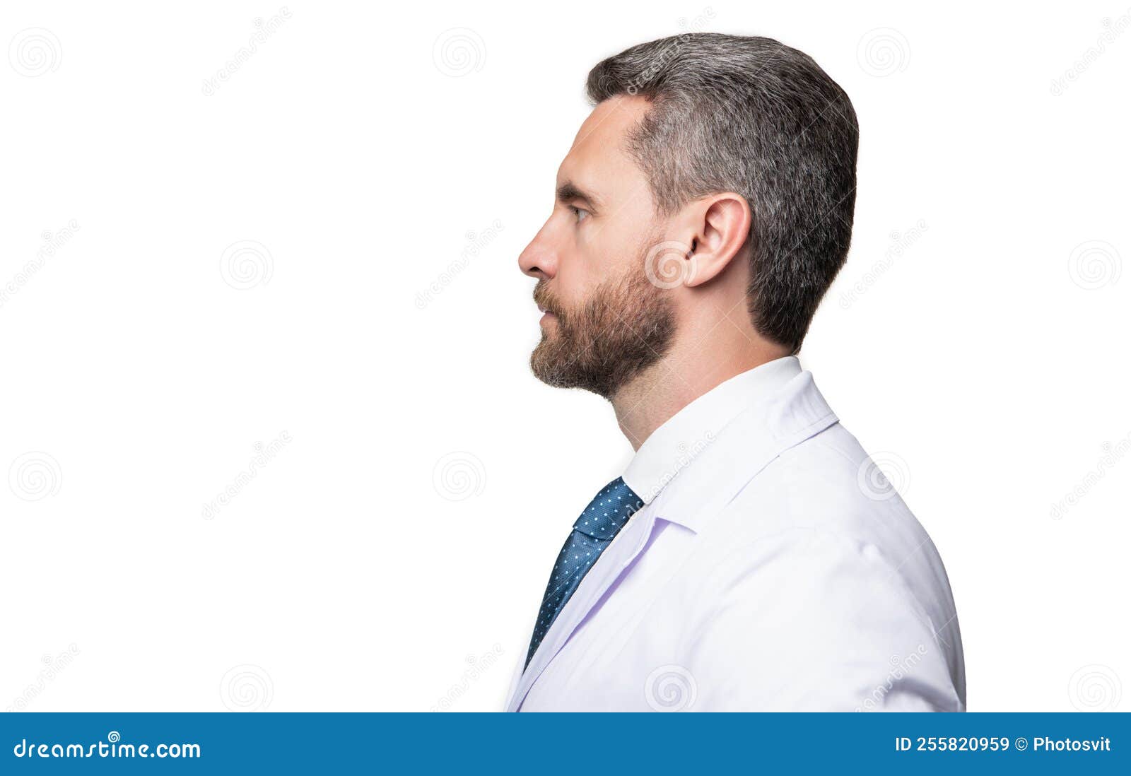 Doctor Profile. Doctor Isolated on White. Medical Doctor in White Coat