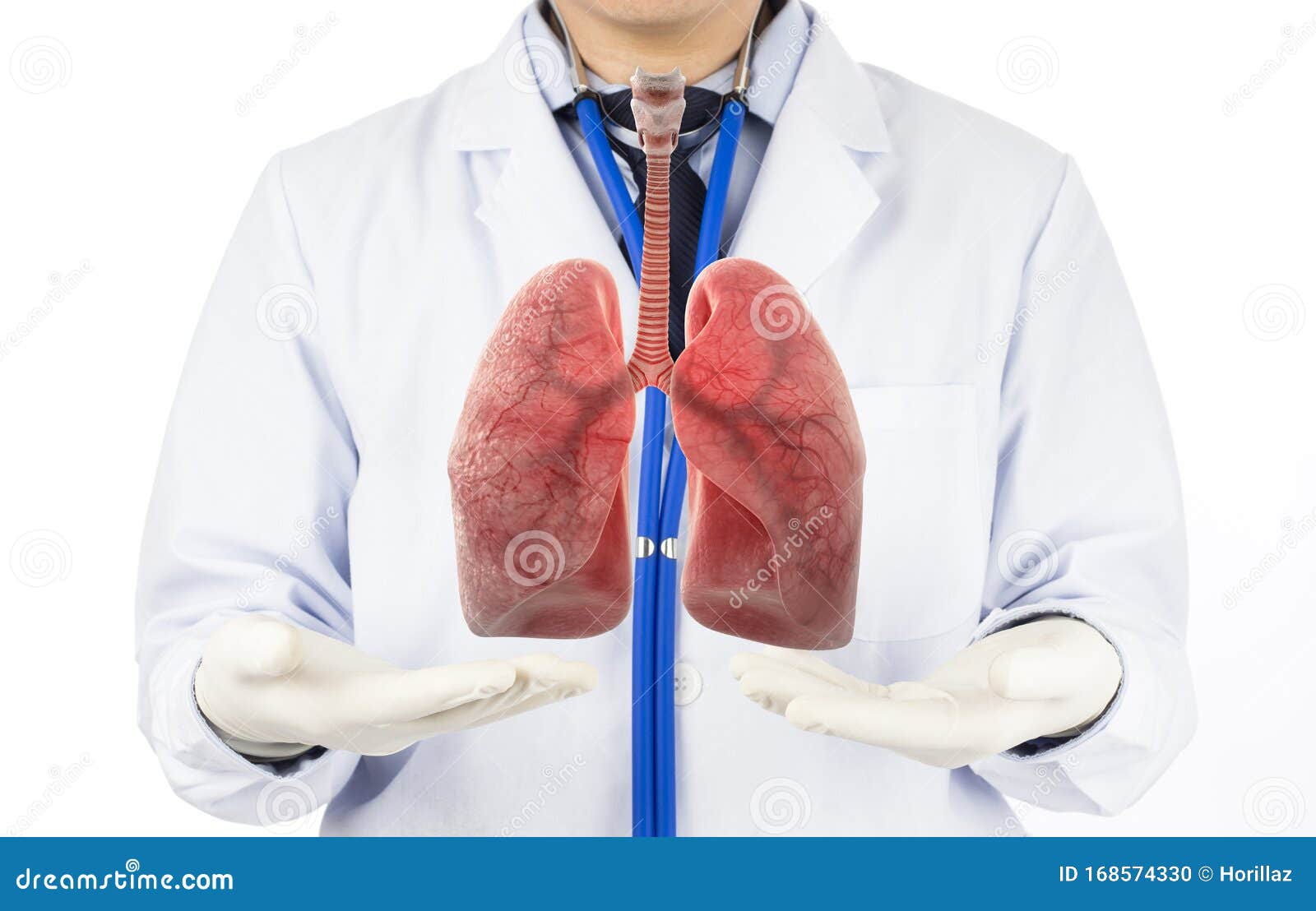 doctor show respiratory of lung