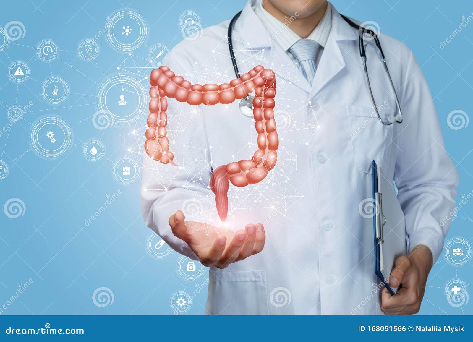 doctor shows the colon of a person