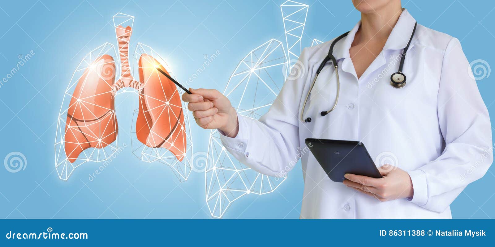 doctor shows an interactive picture lungs.