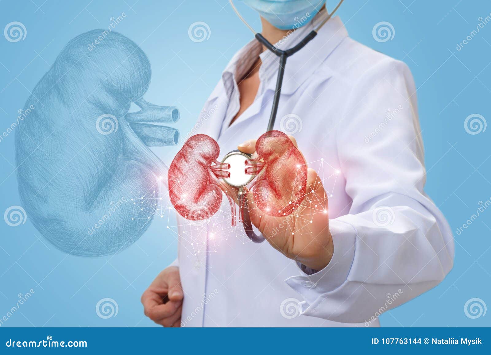 kidney doctor specialist