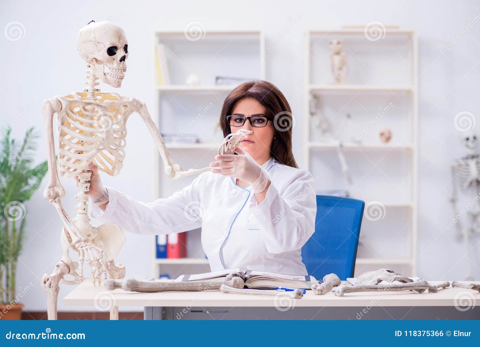 The Doctor Working in the Lab on Skeleton Stock Photo Image of