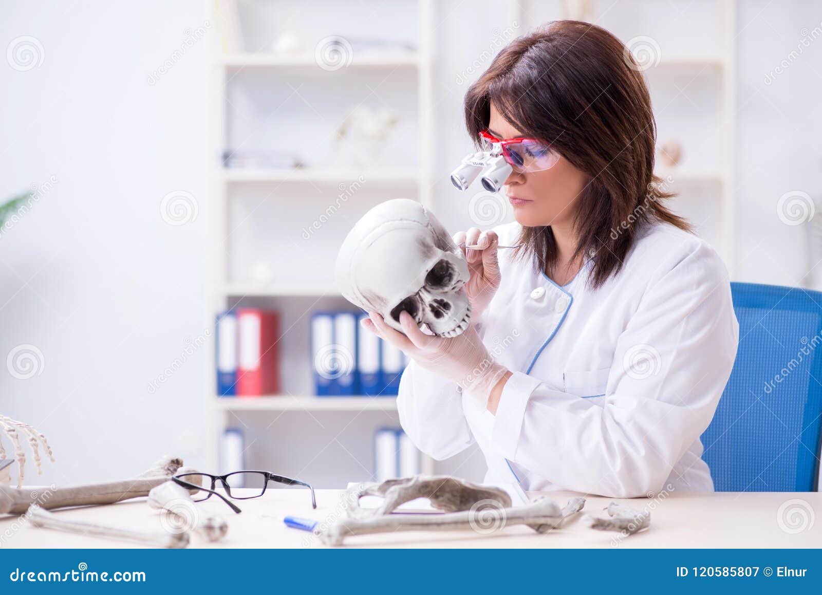 The Doctor Working in the Lab on Skeleton Stock Image Image of