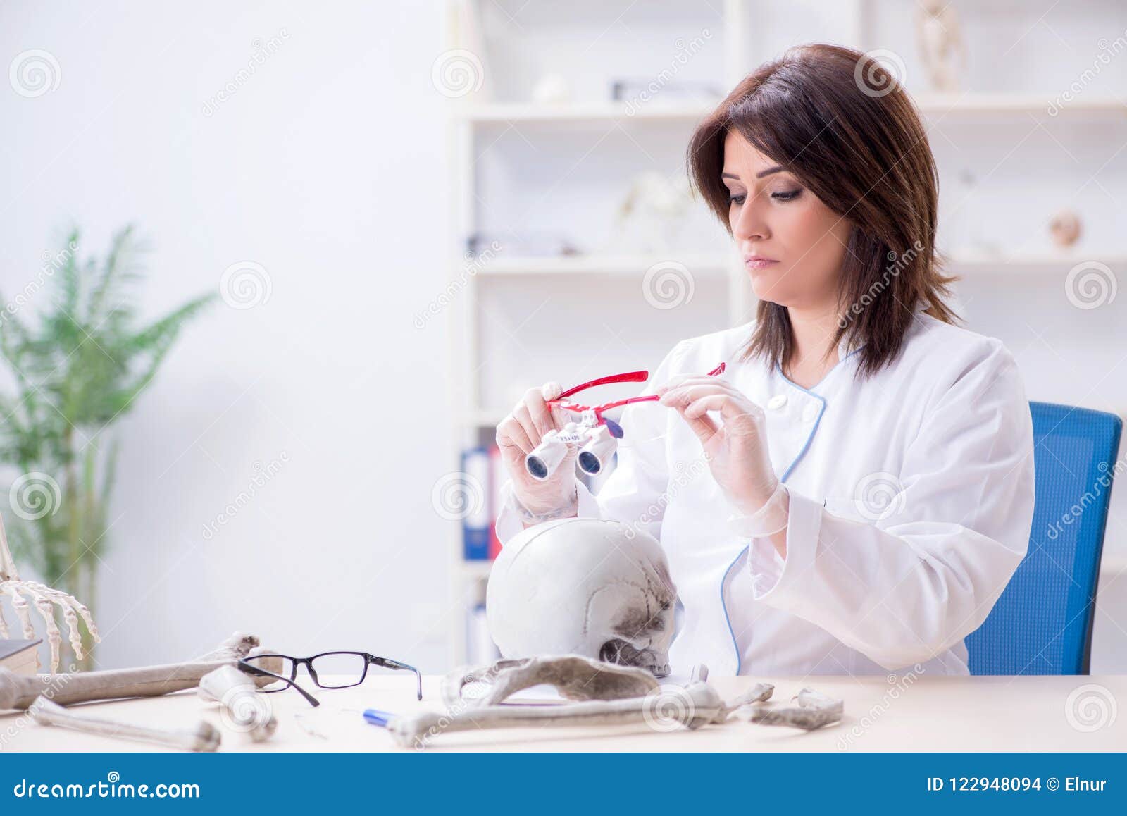The Doctor Working in the Lab on Skeleton Stock Photo Image of