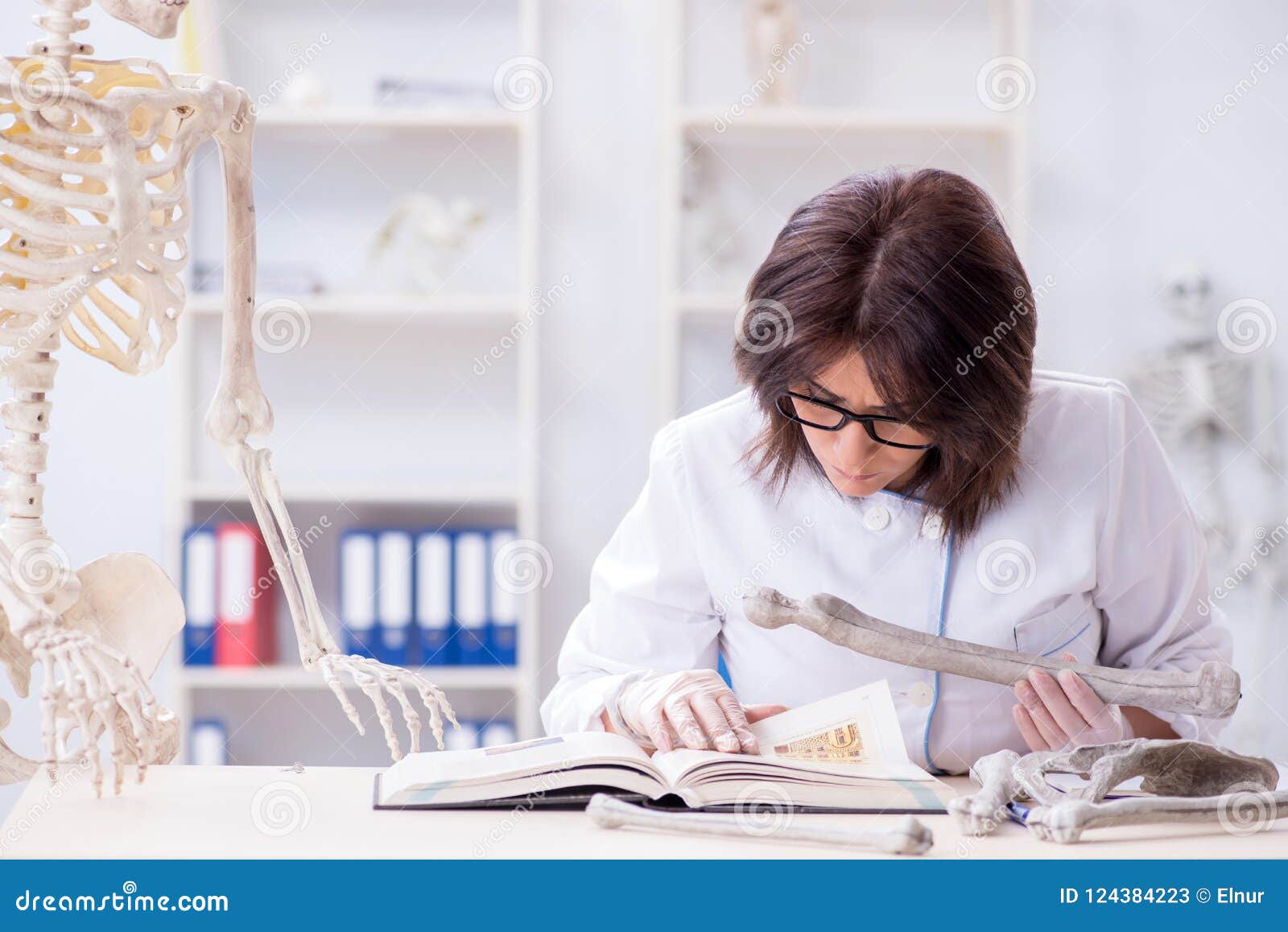 The Doctor Working in the Lab on Skeleton Stock Image Image of
