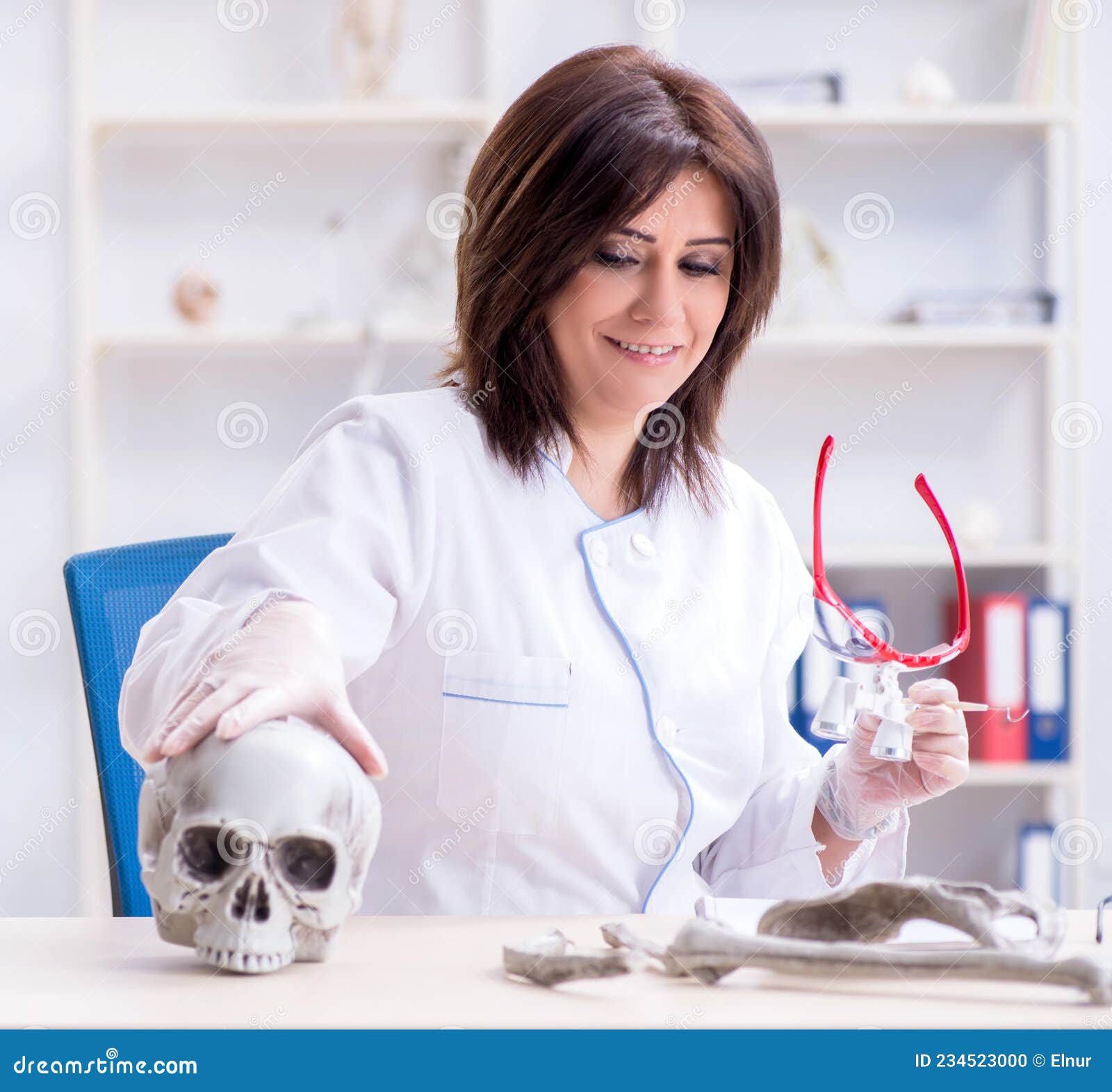 Doctor Working in the Lab on Skeleton Stock Photo Image of joint