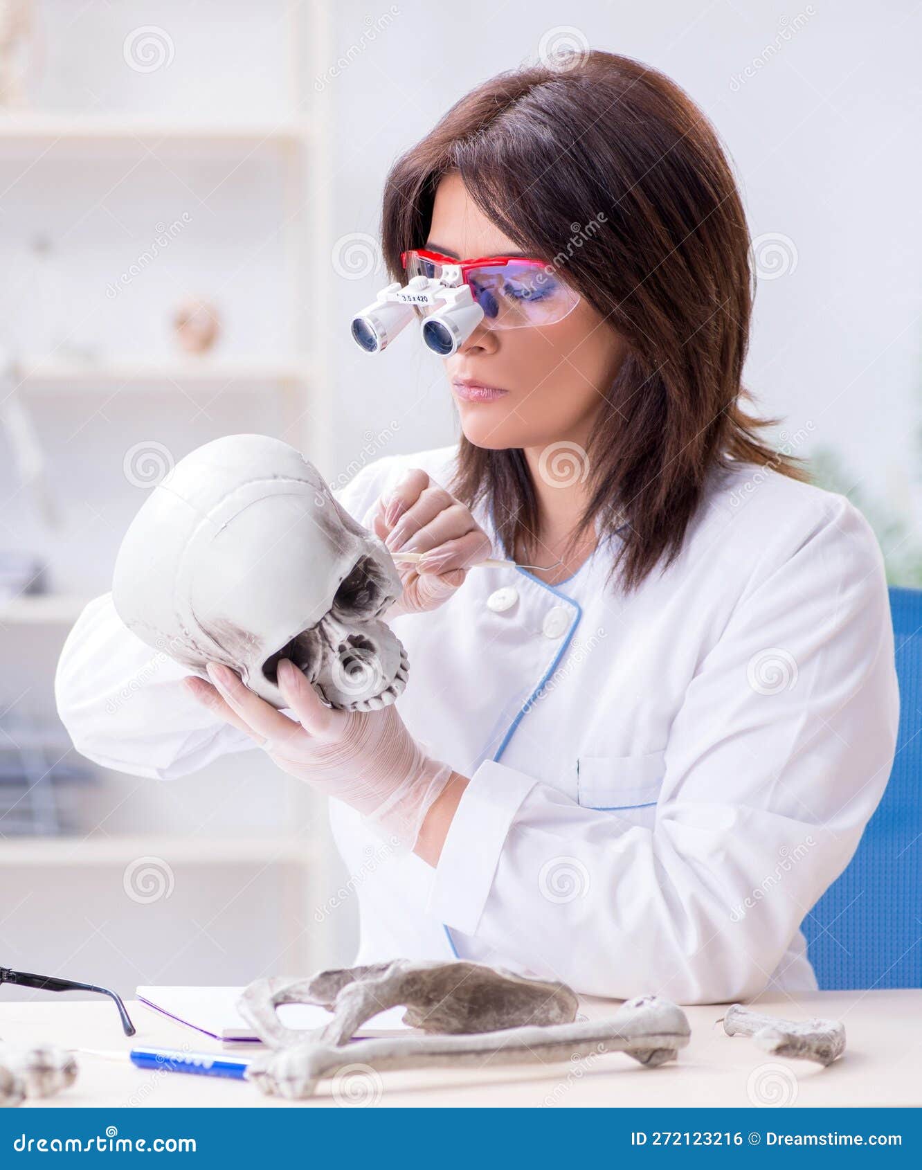 Doctor Working in the Lab on Skeleton Stock Photo Image of magnifying
