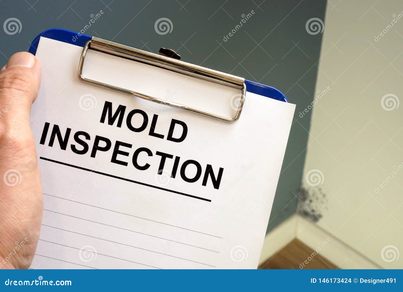 documents about mold inspection with clipboard