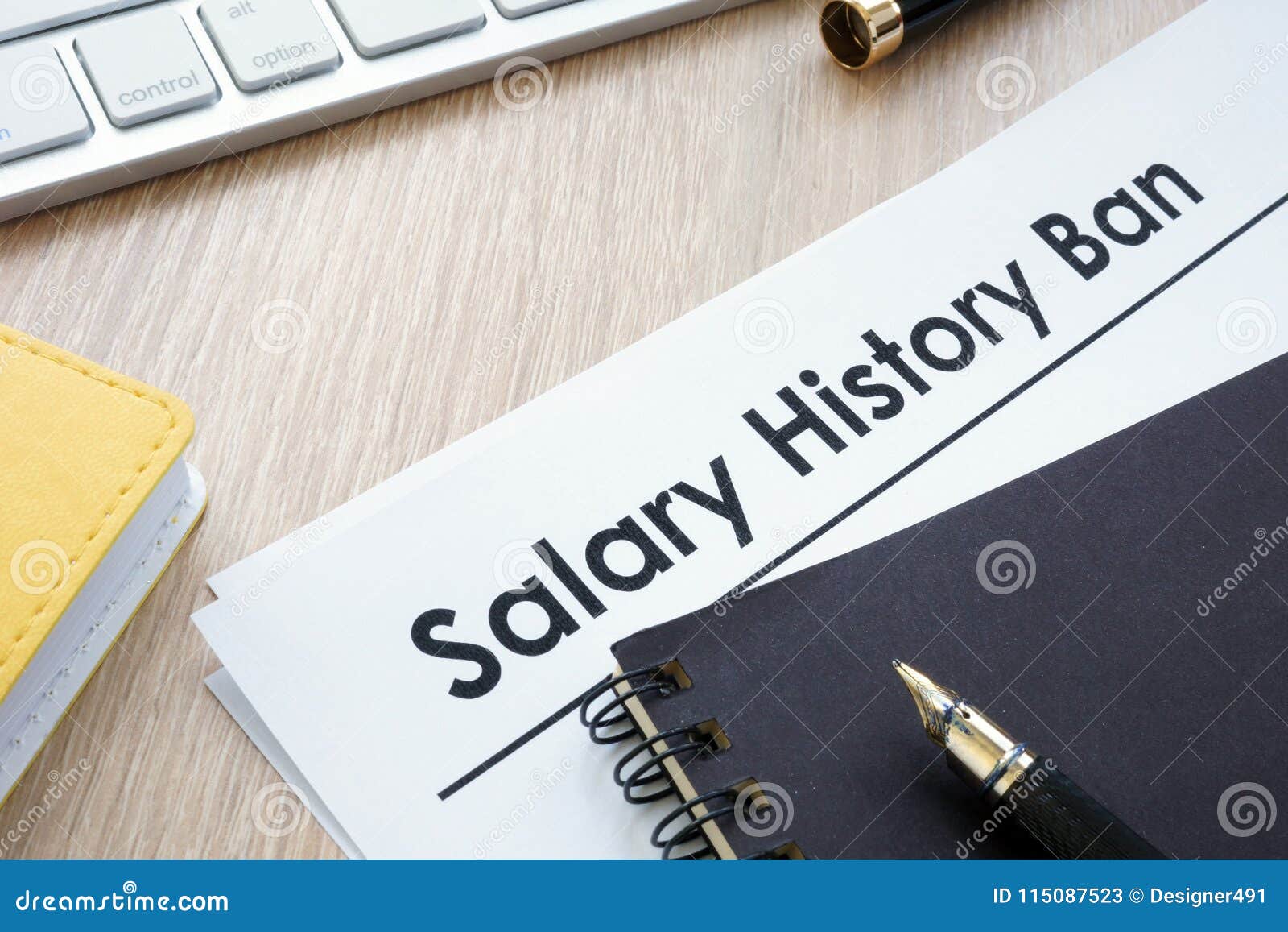 documents with title salary history ban.