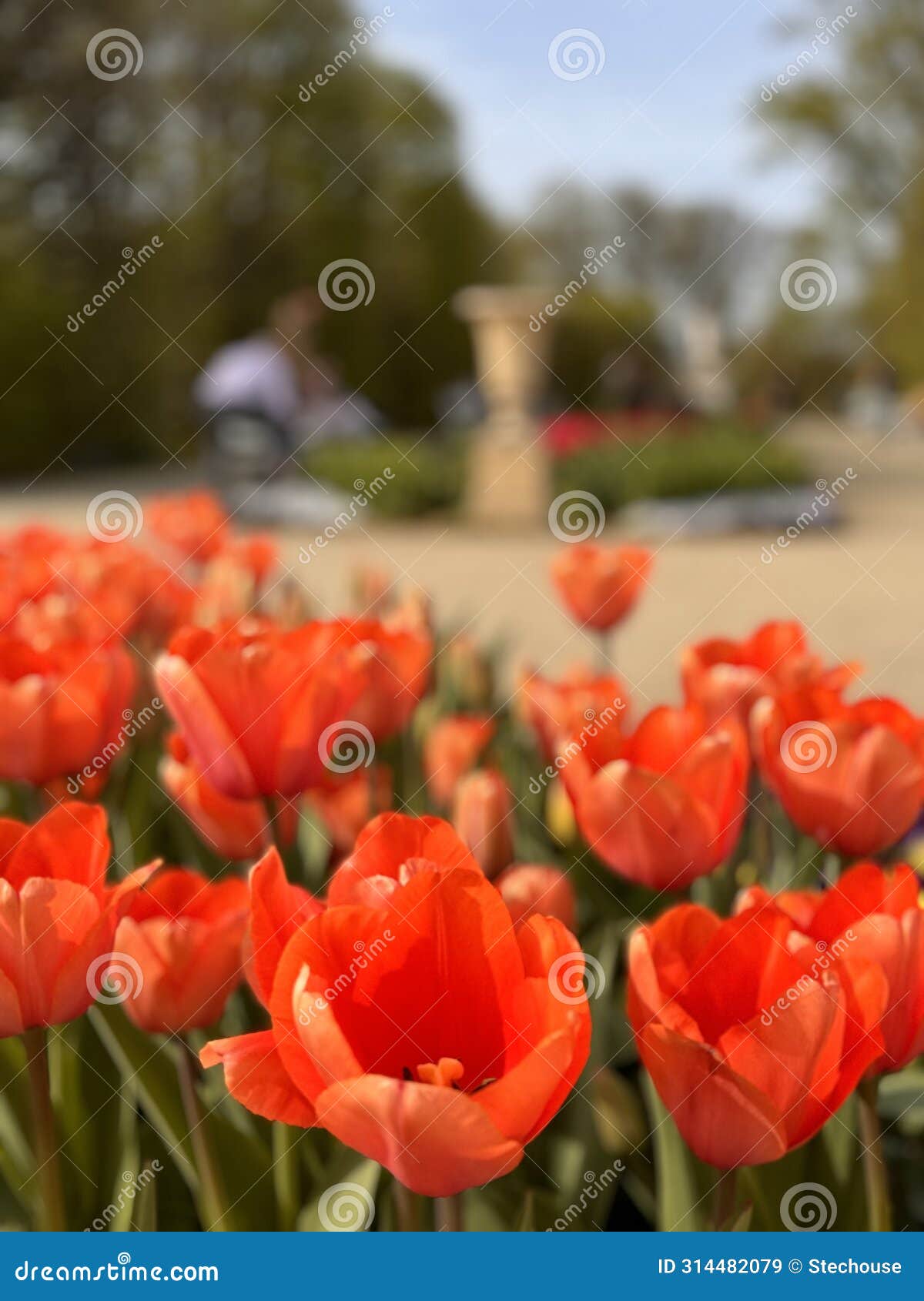 attractions in warsaw: the gardens of the royal castle in warsaw, poland