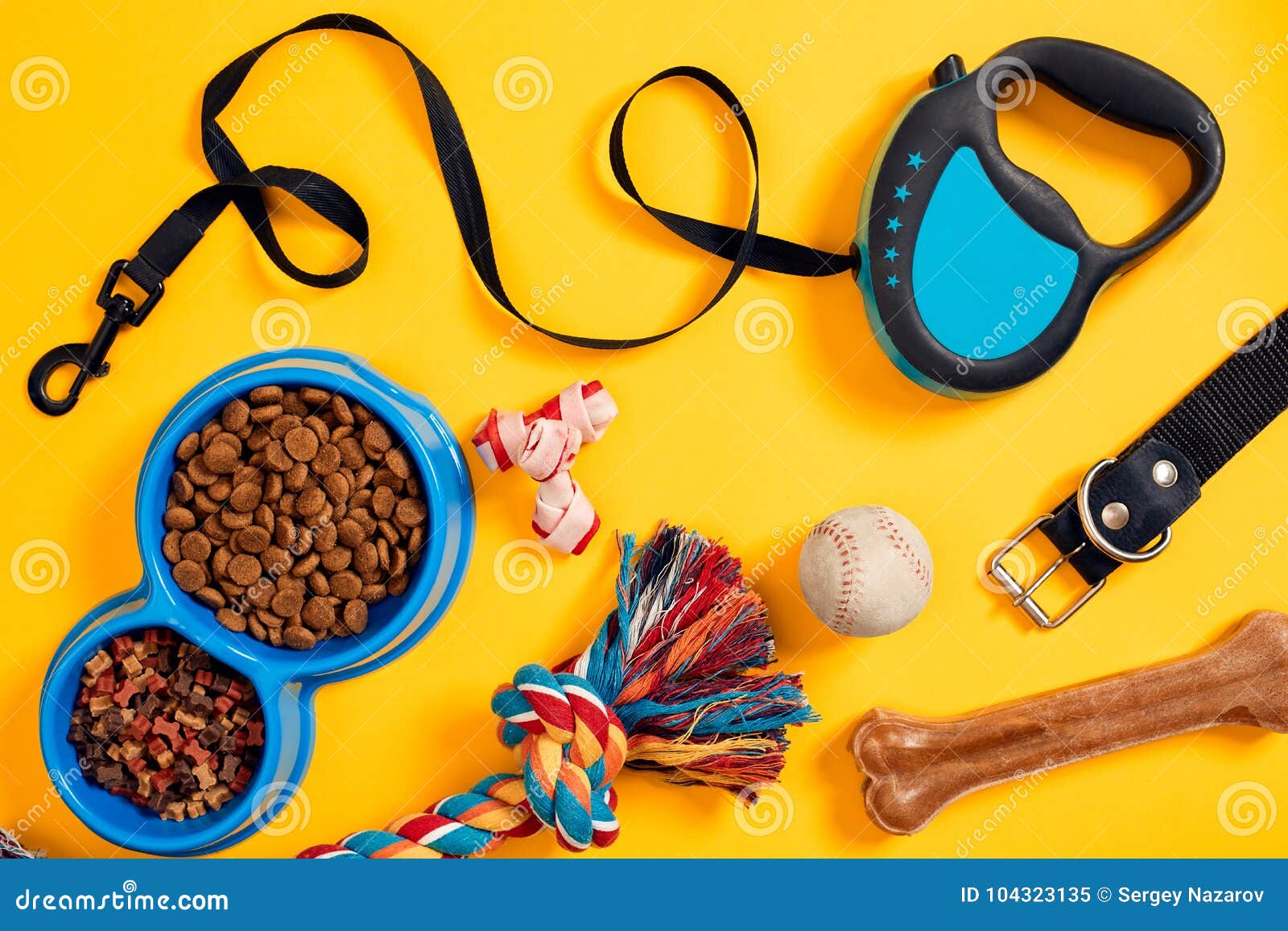 dog accessories on yellow background. top view. pets and animals concept