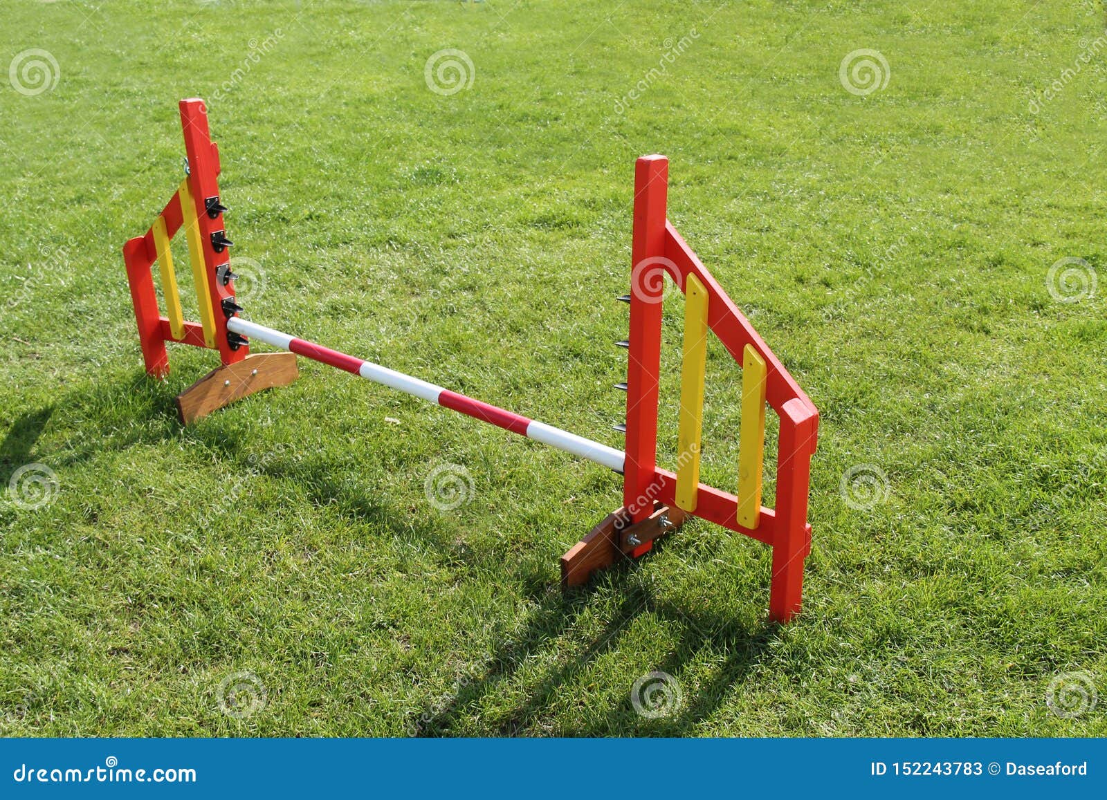 Dog Agility Course. stock image. Image of train, canine 152243783