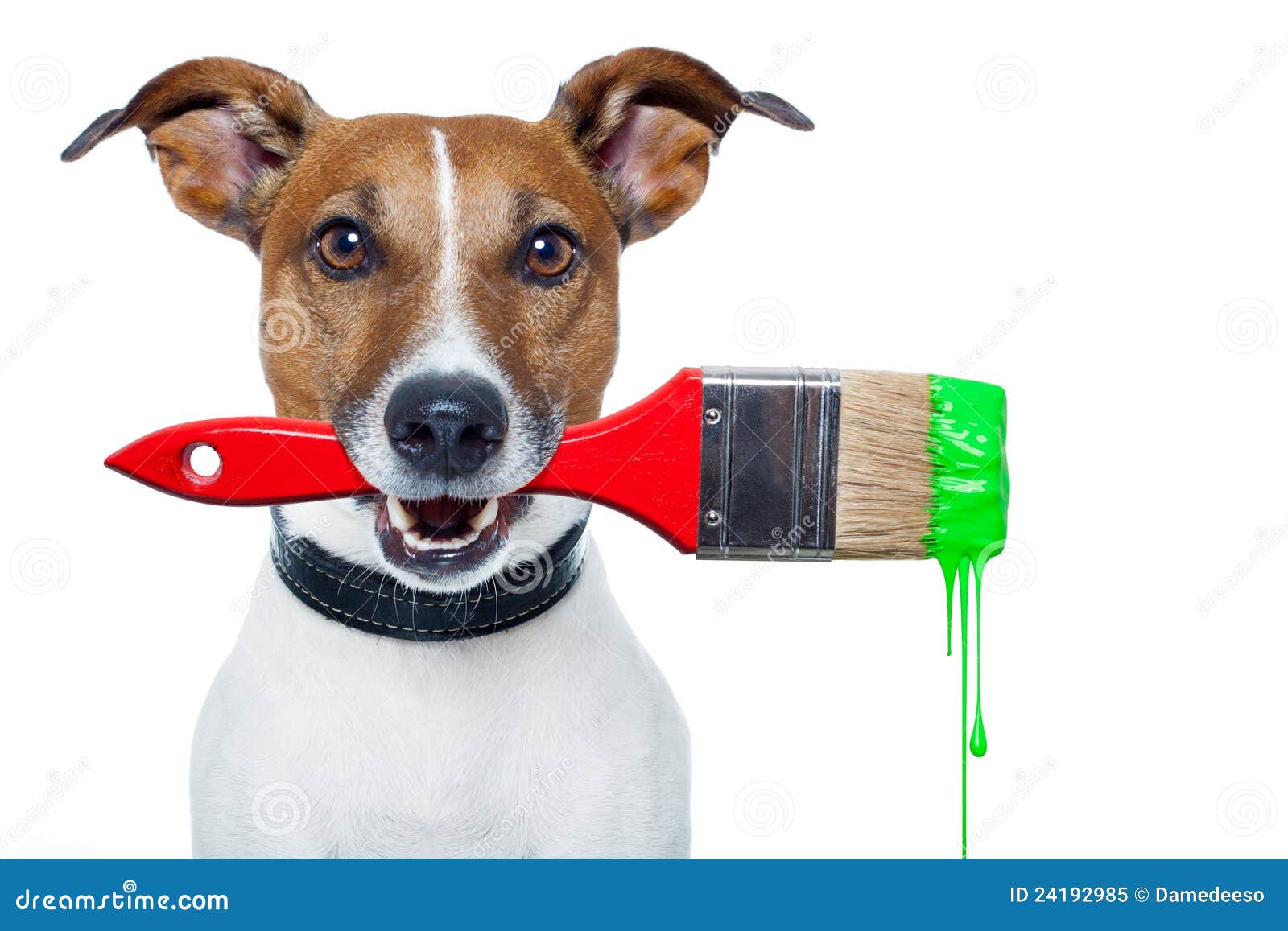 Dog As A Painter Royalty Free Stock Photo Image 24192985