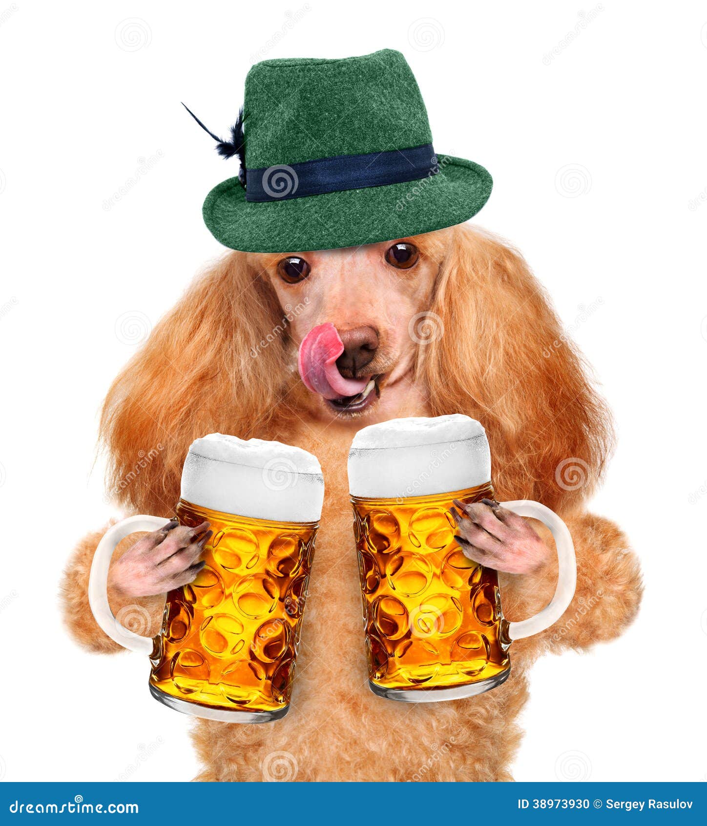 dog with a beer