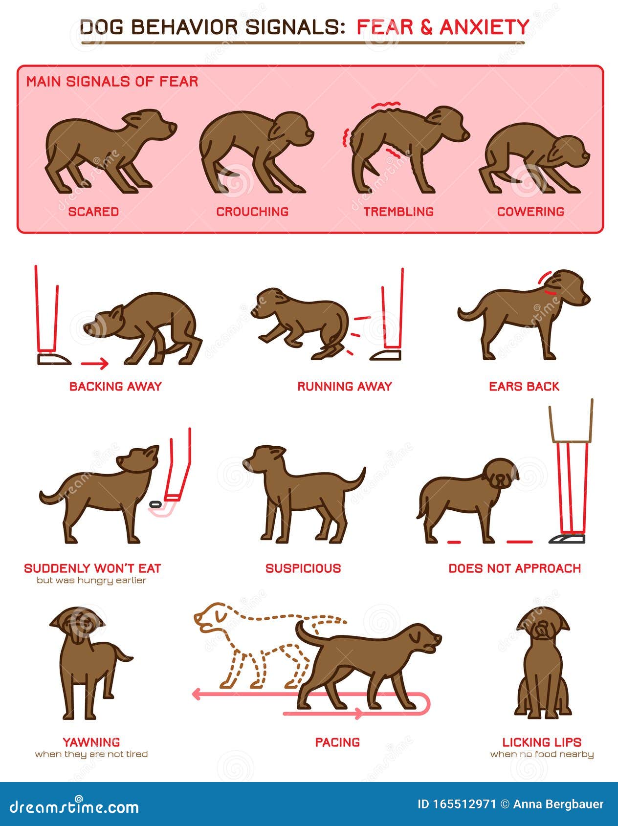 Dog Behavior Icons stock vector. Illustration of owner - 165512971