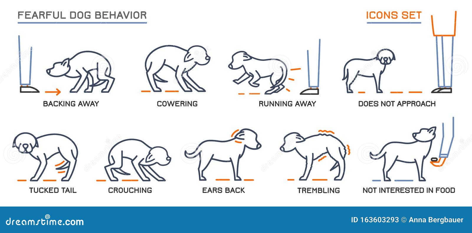 dog behavior icons set