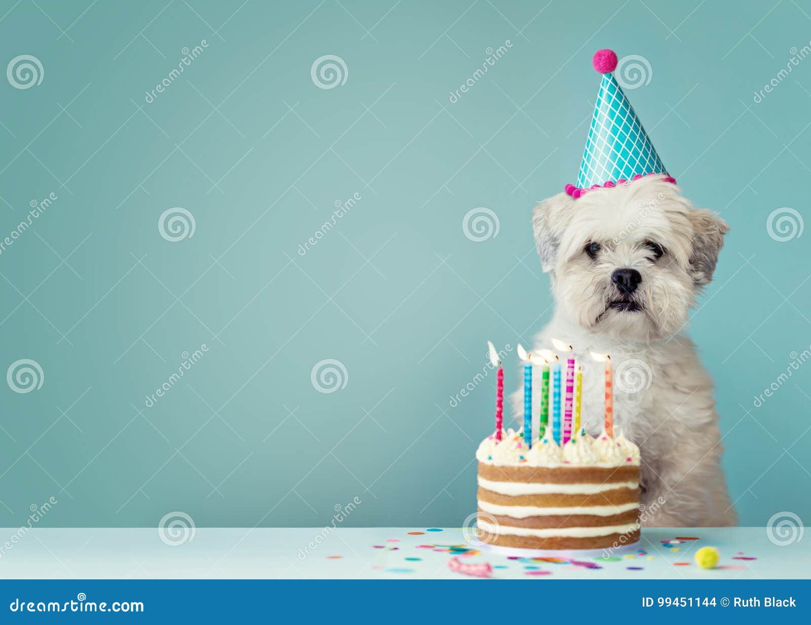 4,833 Dog Cake Stock Photos - Free & Royalty-Free Stock ...