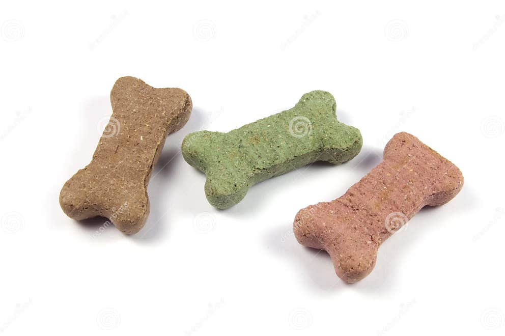 Dog Biscuit stock image. Image of isolated, treat, biscuit 6031329