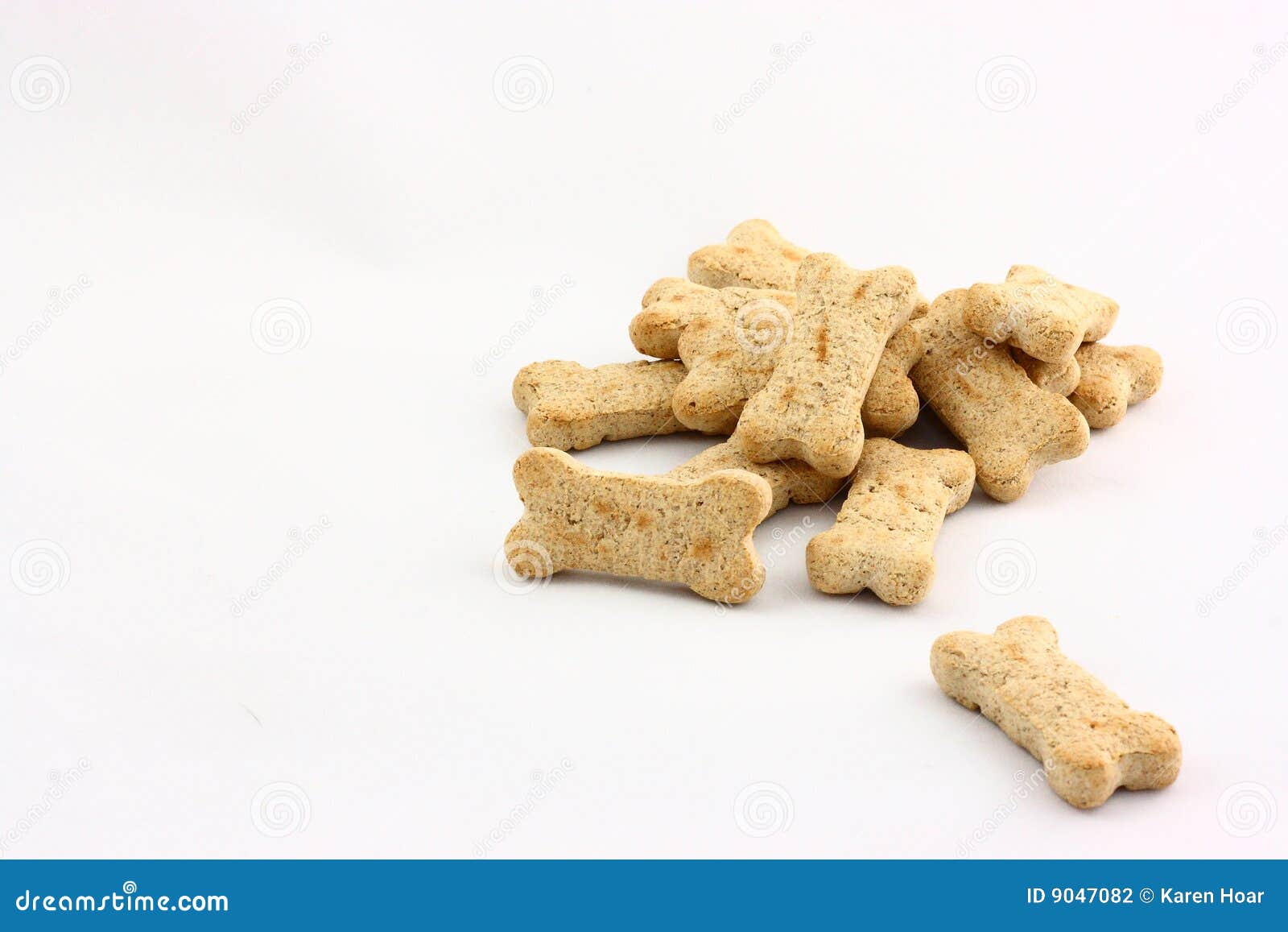 Dog Biscuits stock photo. Image of goodies, nutrition 9047082