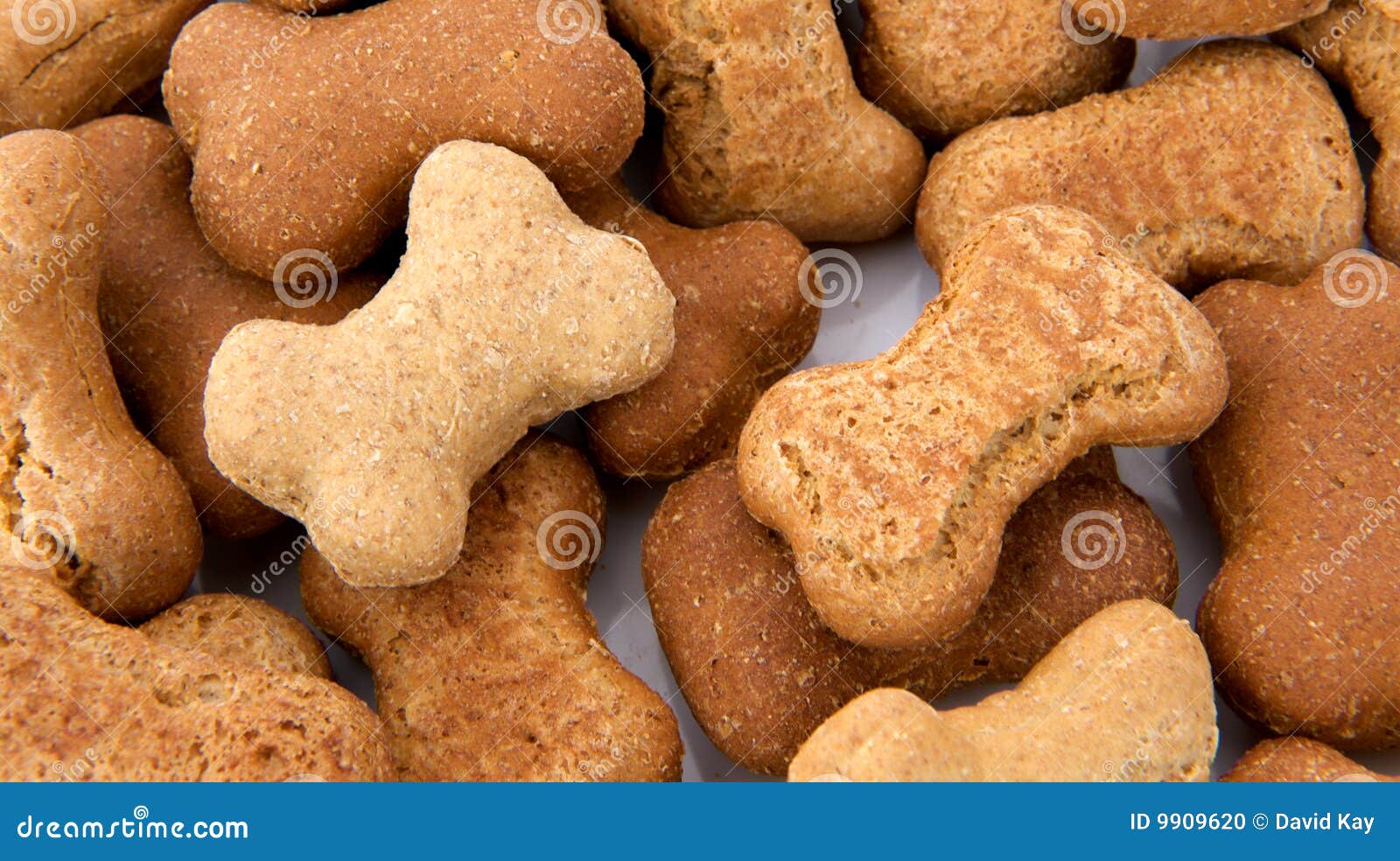 Dog Biscuits stock photo. Image of nutrition, shape, crunchy 9909620
